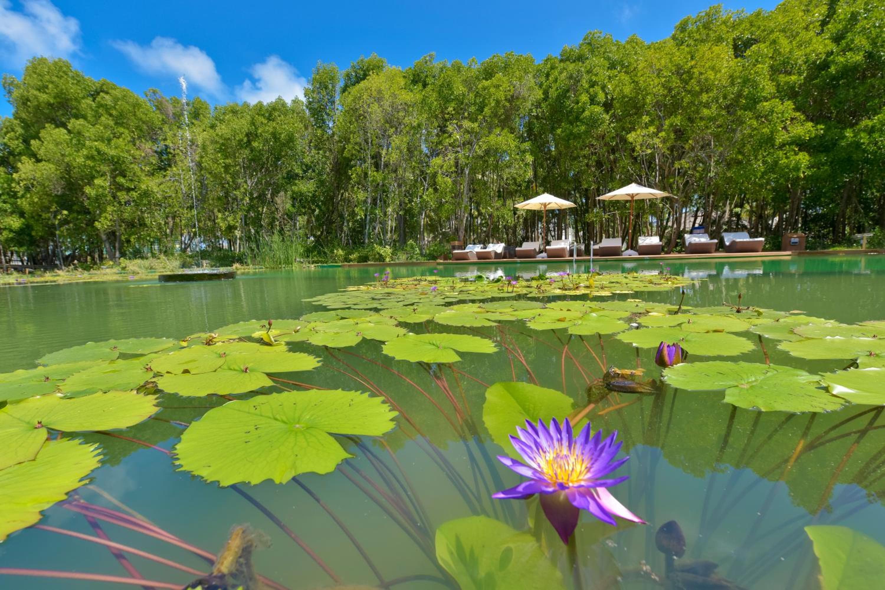 Dreamland Maldives Resort - View 59