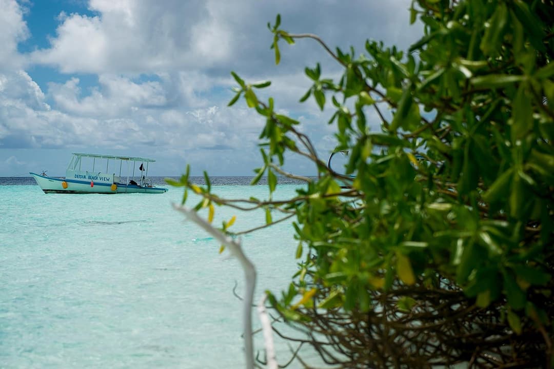 Detour Beach View - View 126