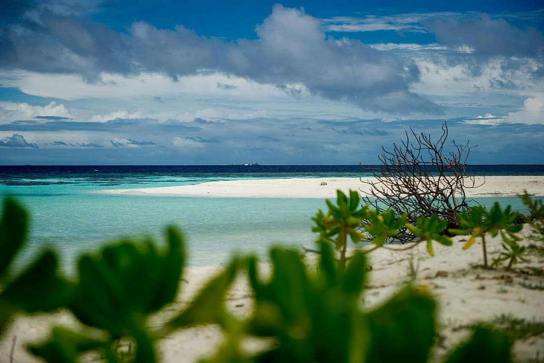 Detour Beach View - View 58
