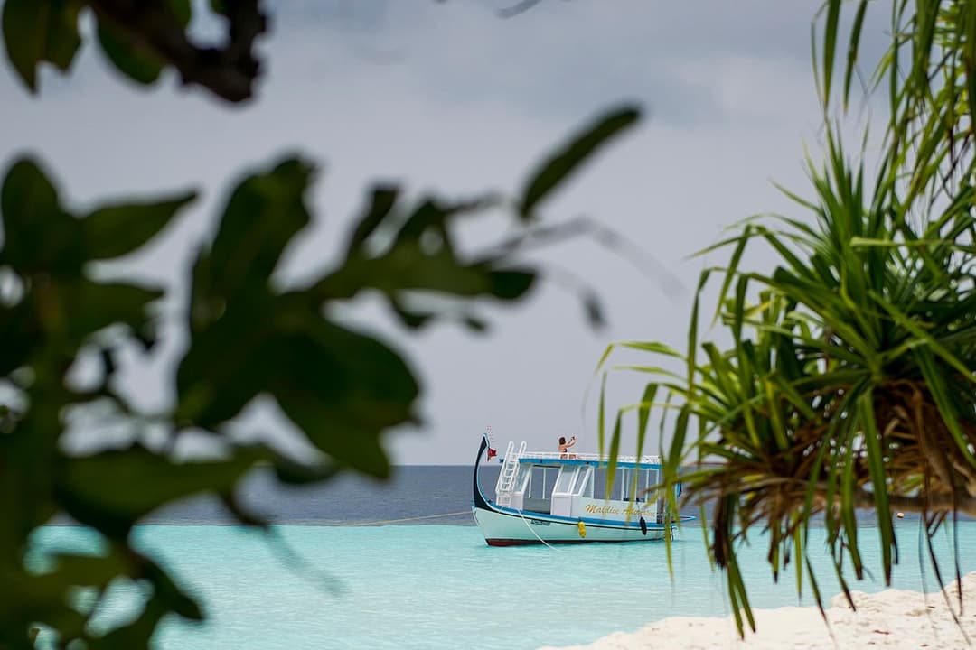Detour Beach View - View 83