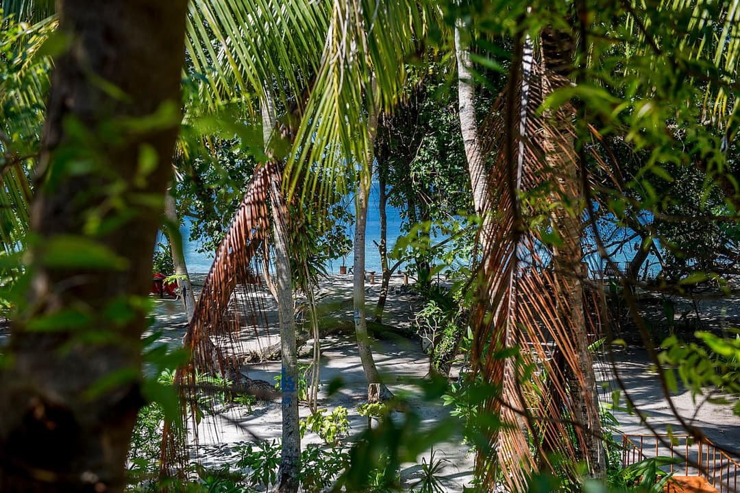 Detour Beach View - View 51