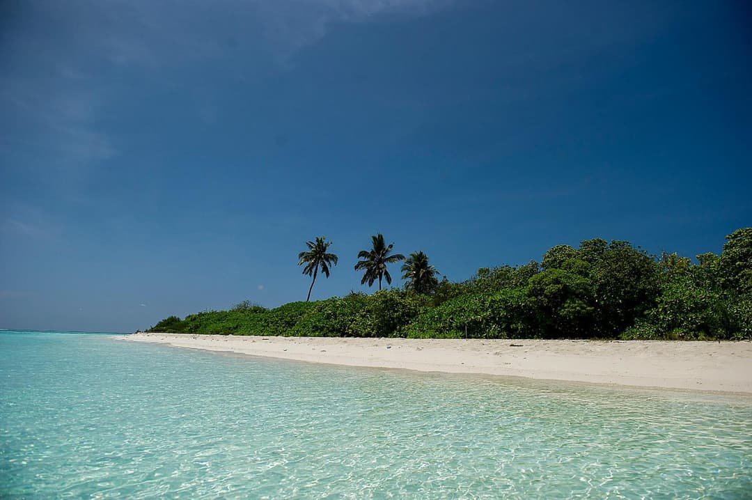 Detour Beach View - View 115