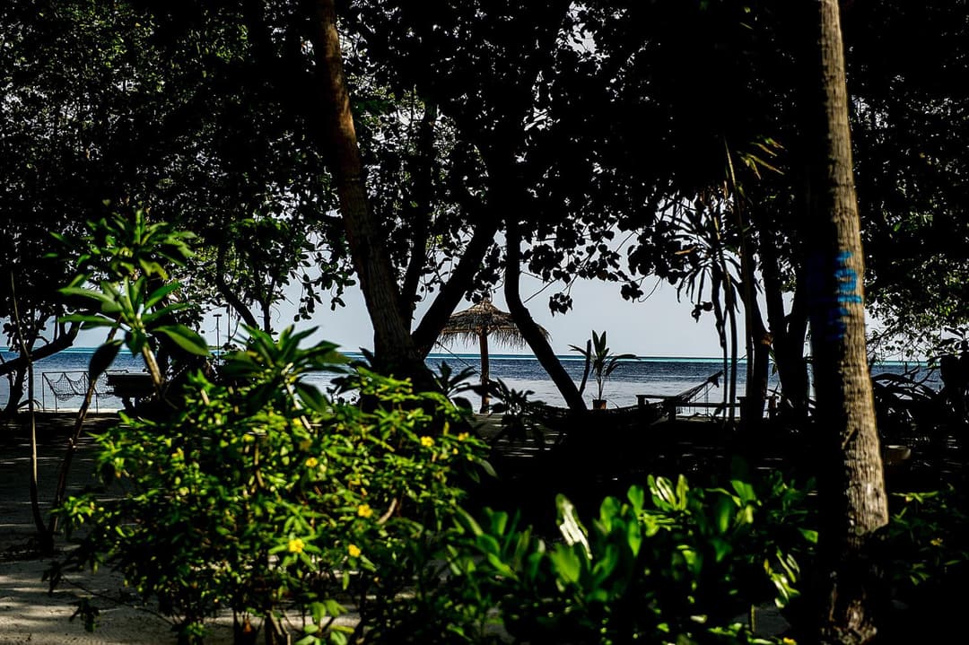 Detour Beach View - View 92