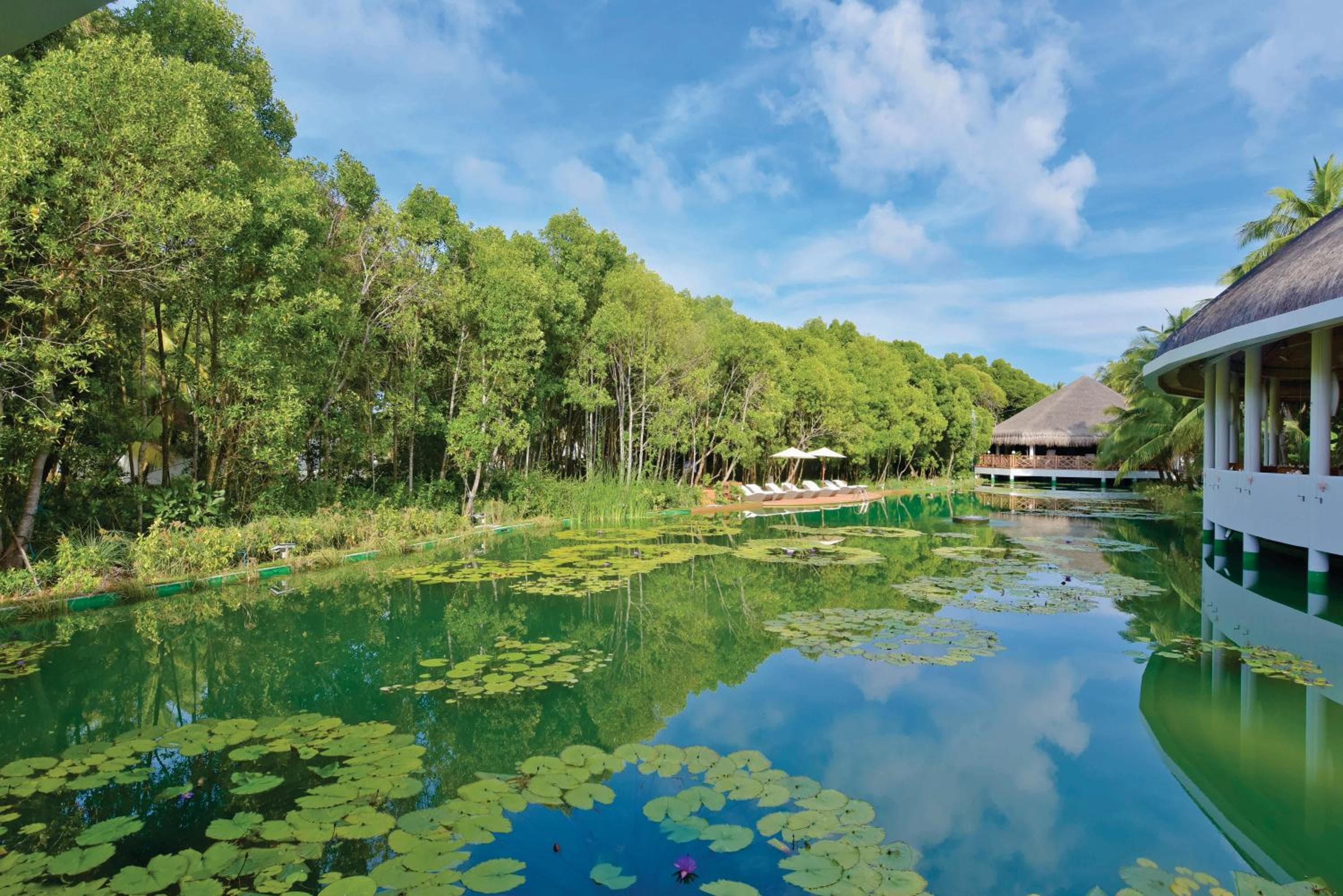 Dreamland Maldives Resort - View 56