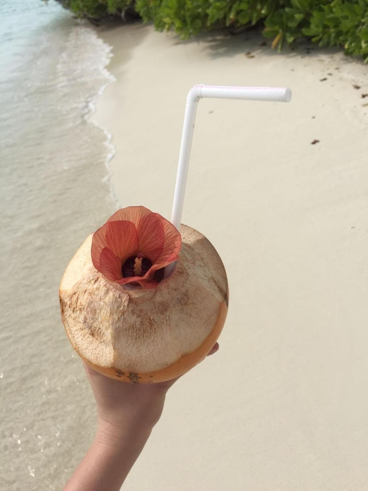 Alesara Guest House - View 8