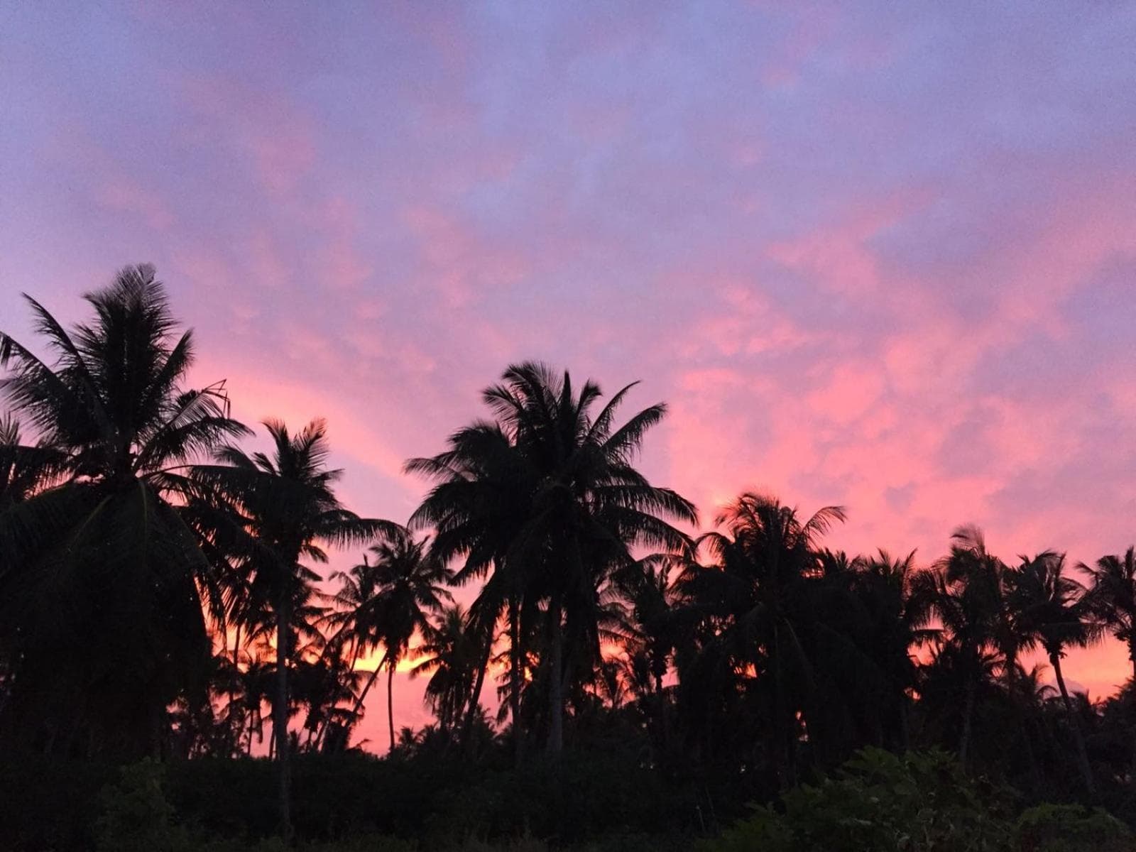 Alesara Guest House - View 81