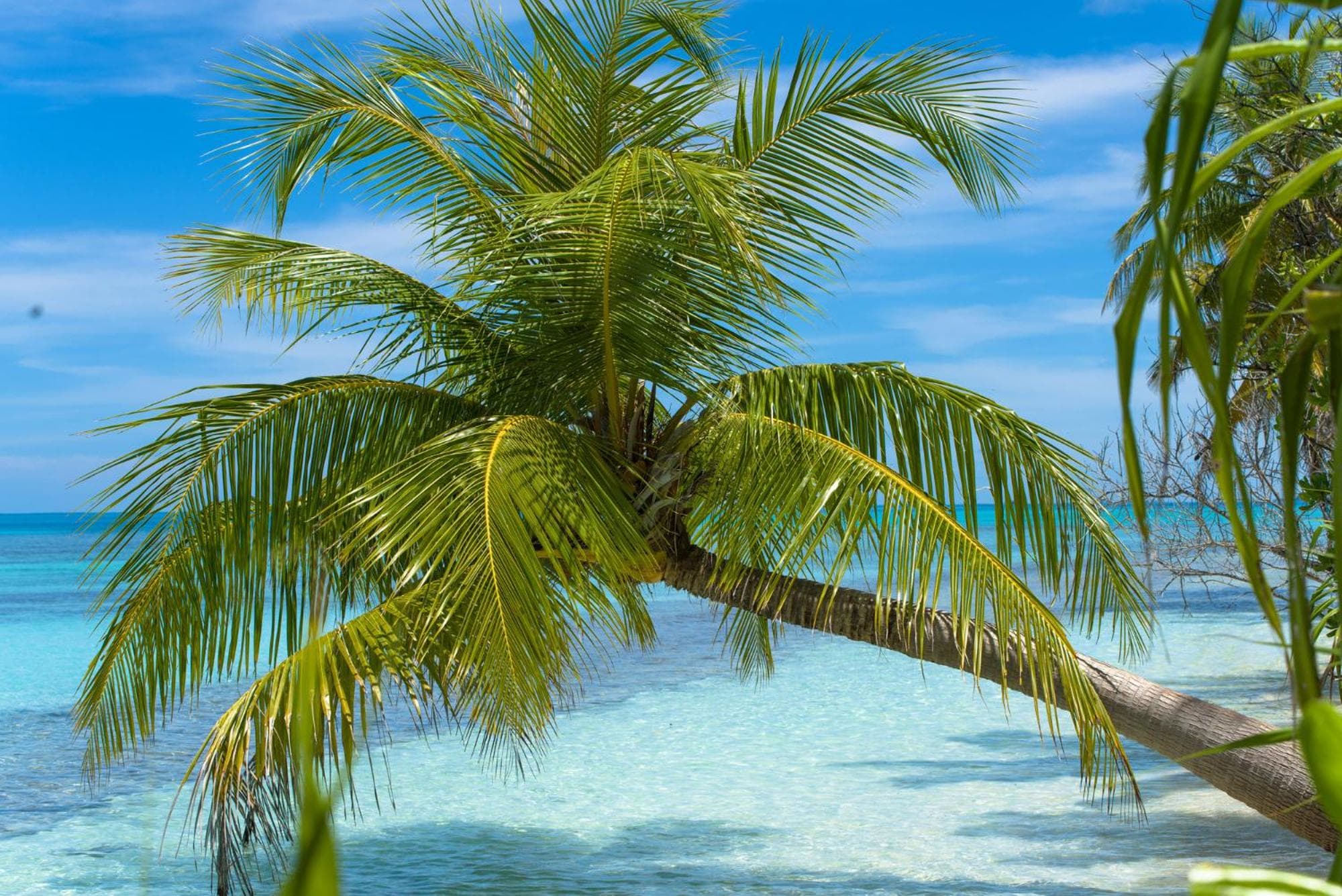 Dhiguveli Maldives - View 40