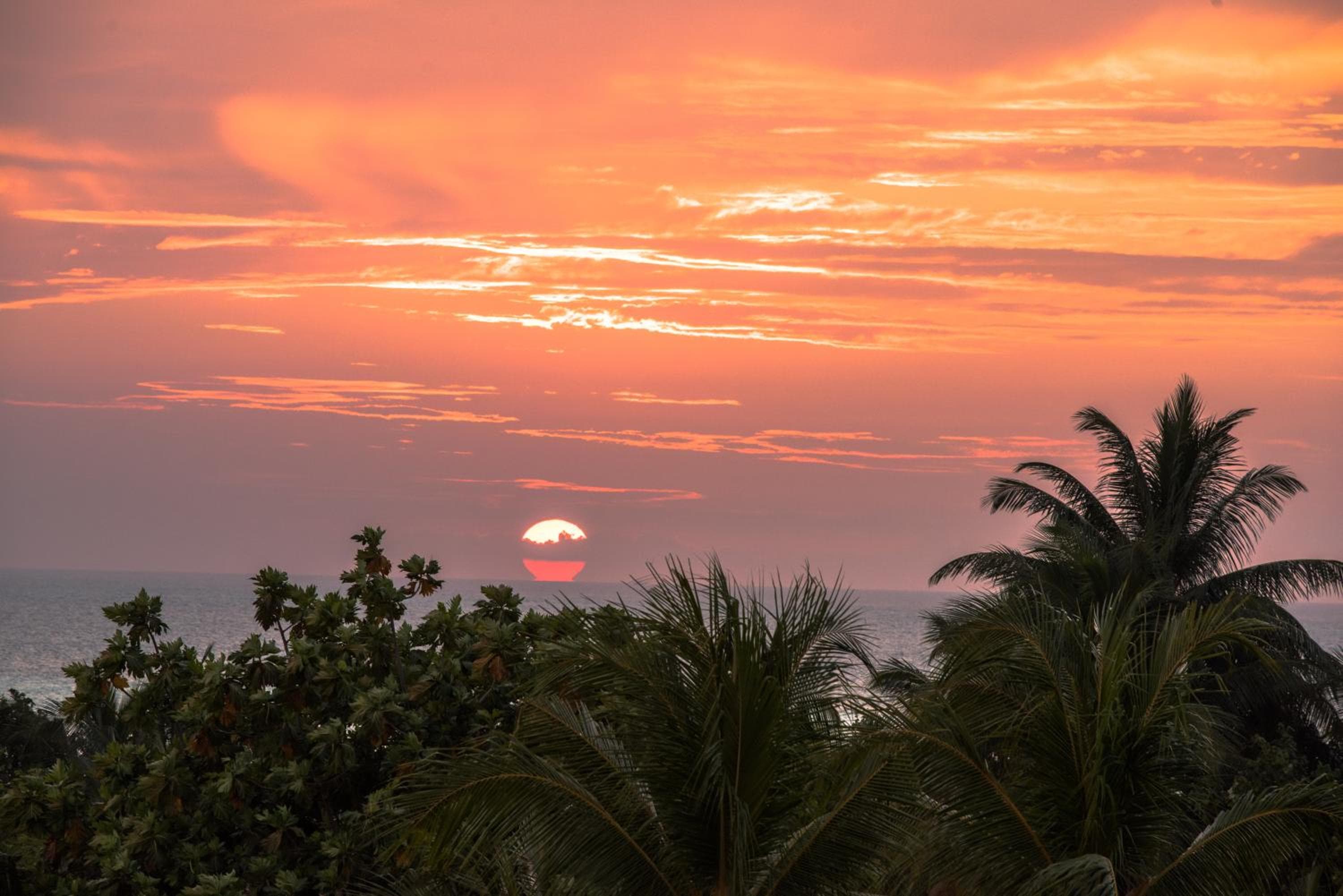 Araamu Hotels Maldives at Dhiffushi - View 48