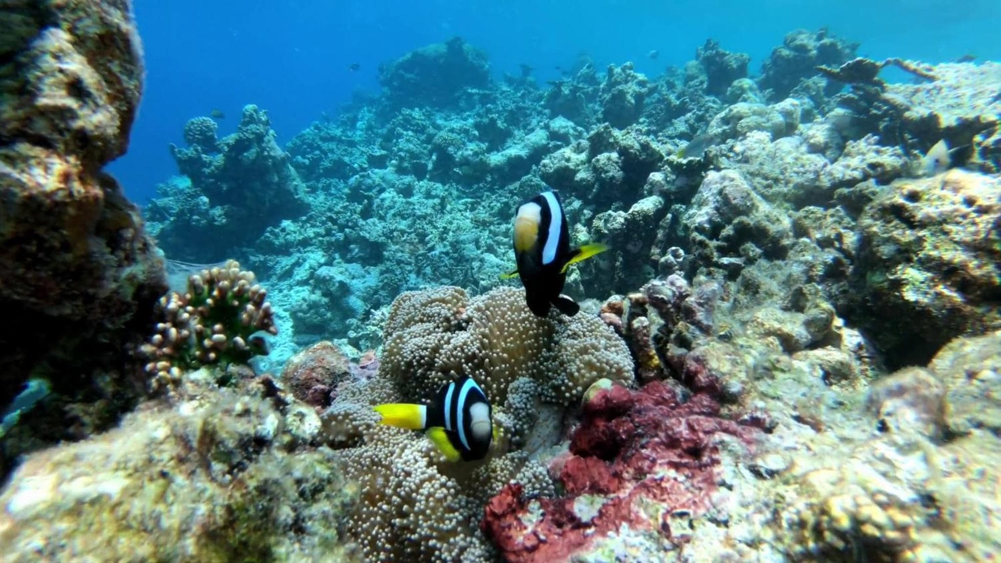 The Sunrise Huraa - View 79