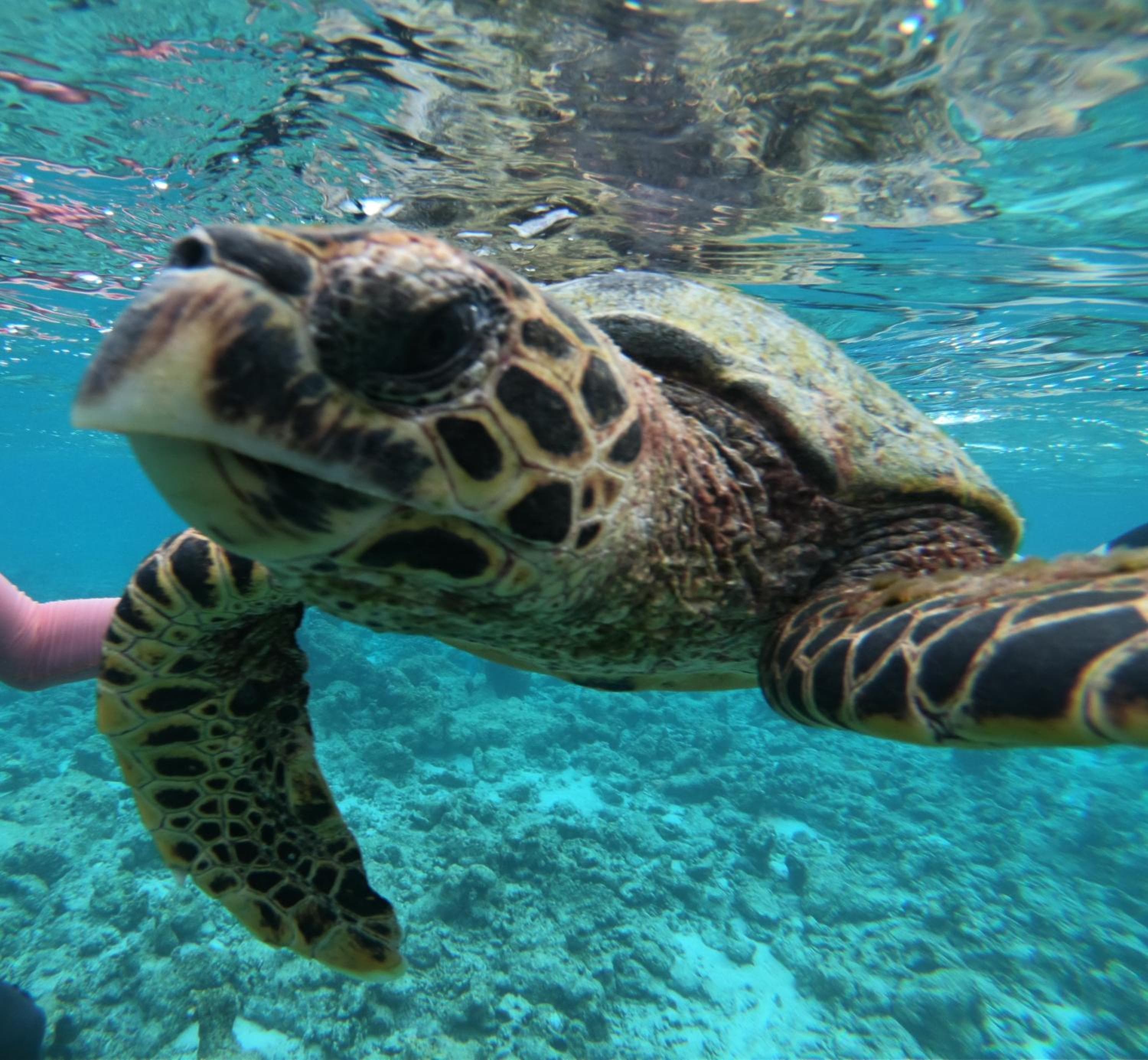 The Sunrise Huraa - View 74