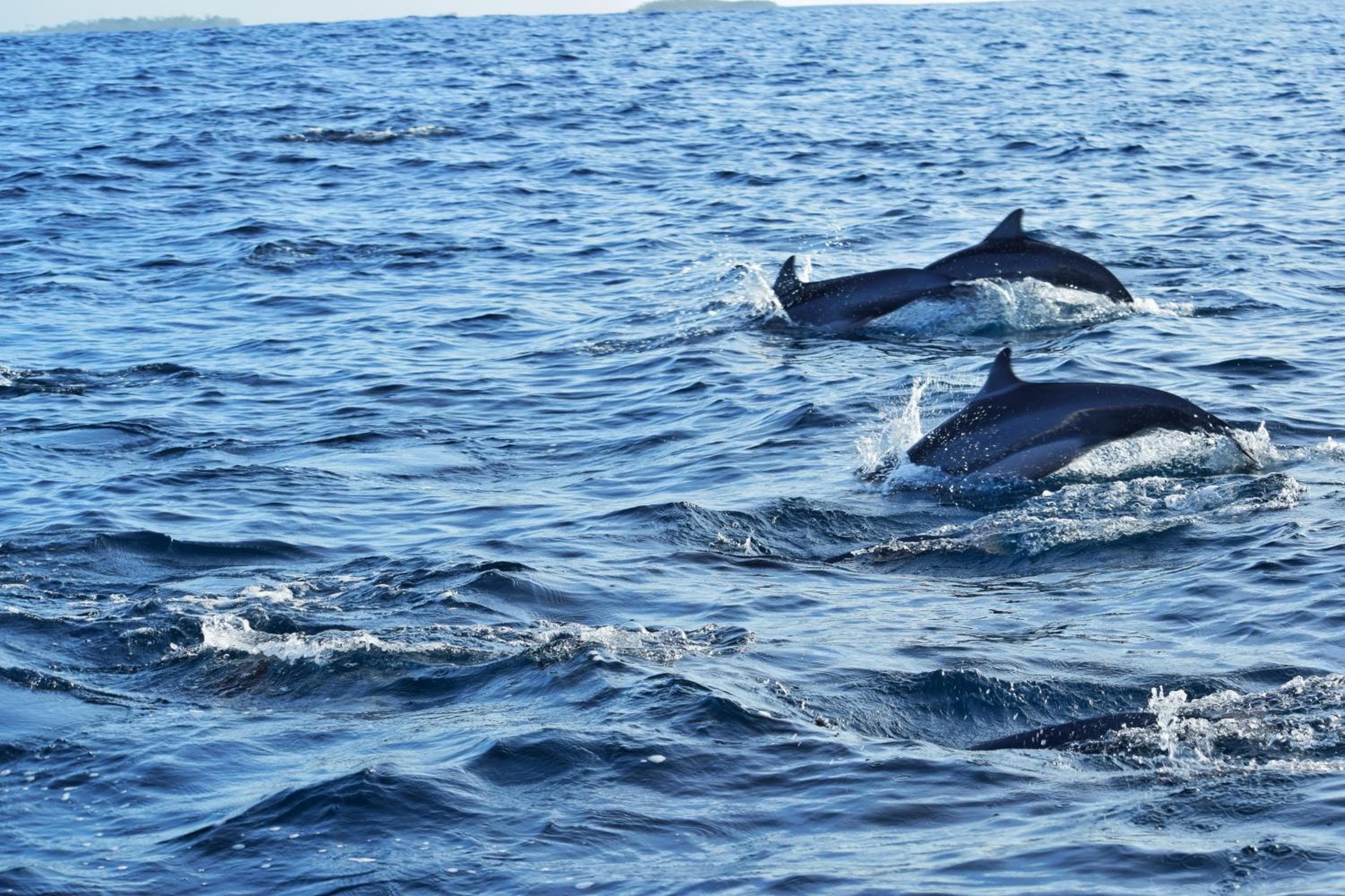 The Sunrise Huraa - View 67