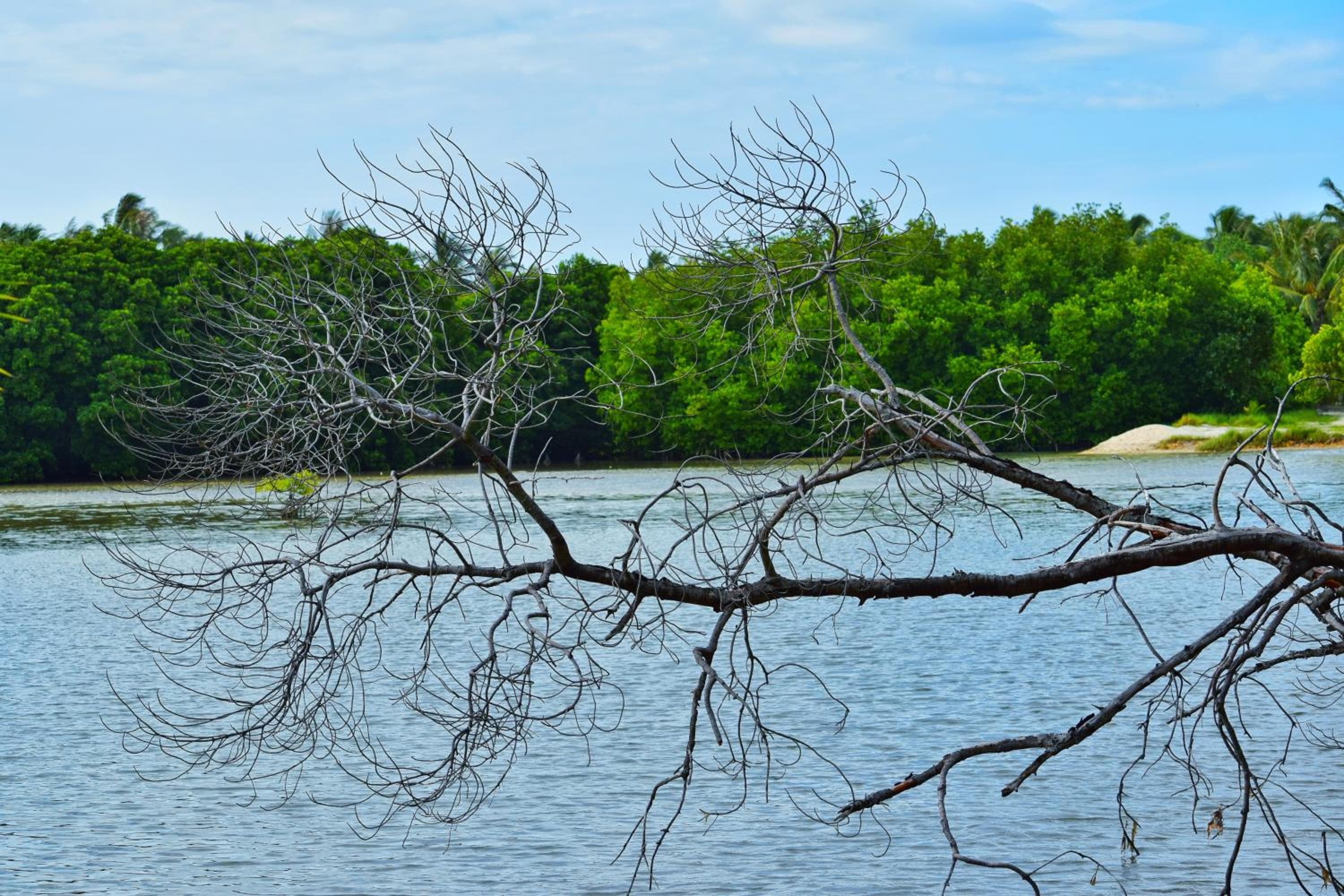 The Sunrise Huraa - View 68