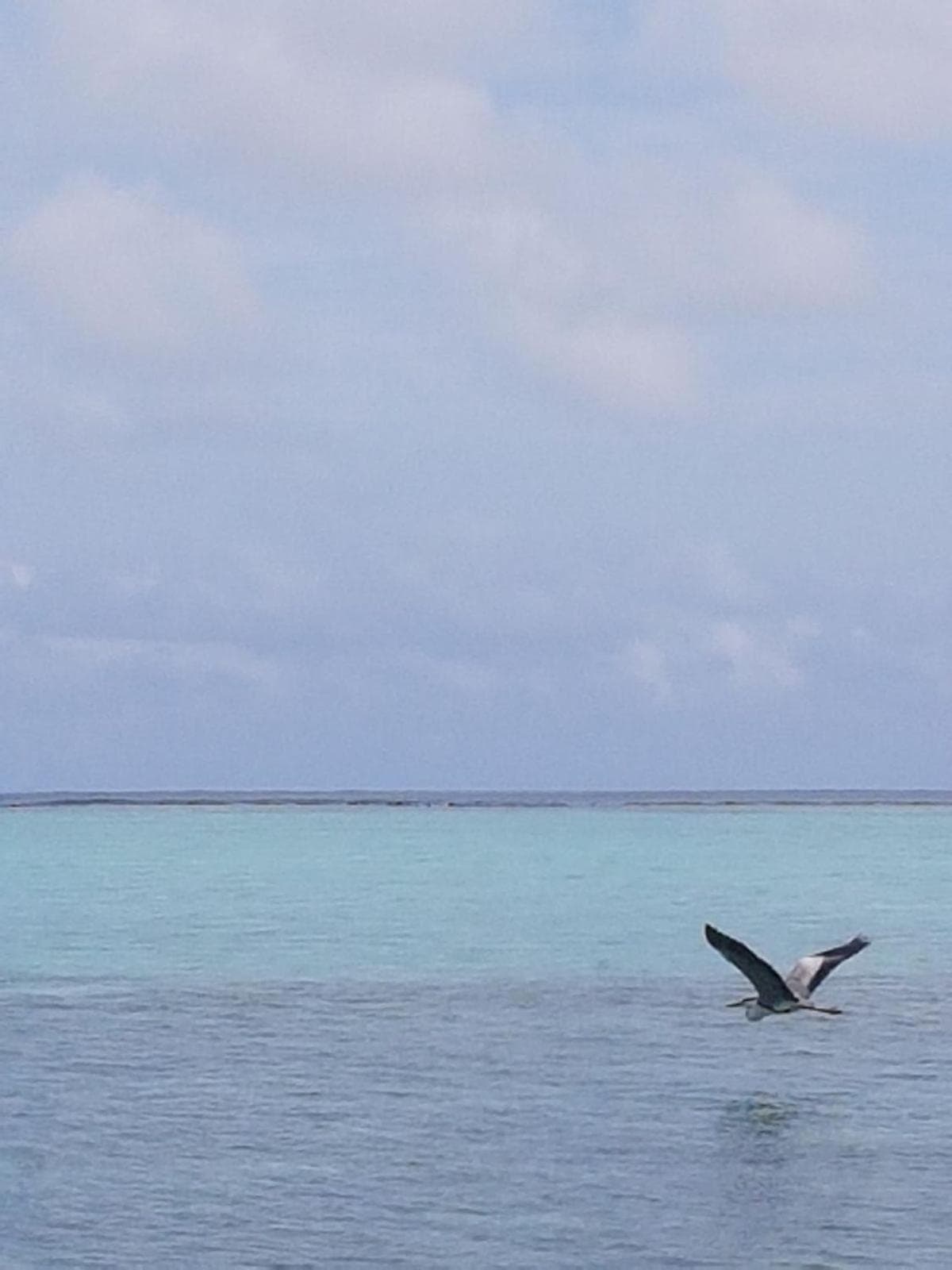 Alesara Guest House - View 80