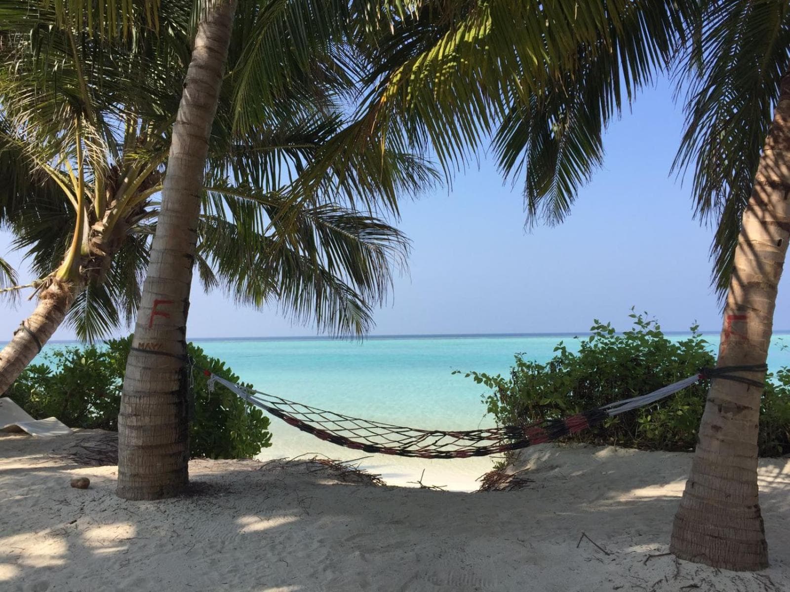 Alesara Guest House - View 71