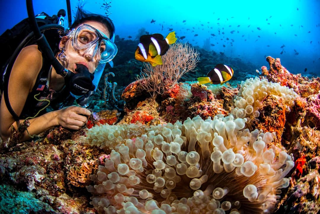 Dusit Thani Maldives - 50 percent off on Transfers for Stays of 5 Nights stay until 20 December 2026 - View 40