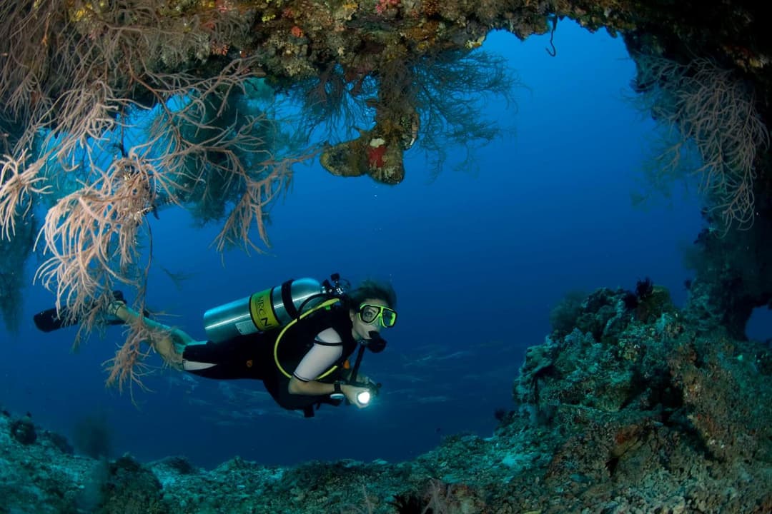Dusit Thani Maldives - 50 percent off on Transfers for Stays of 5 Nights stay until 20 December 2026 - View 17