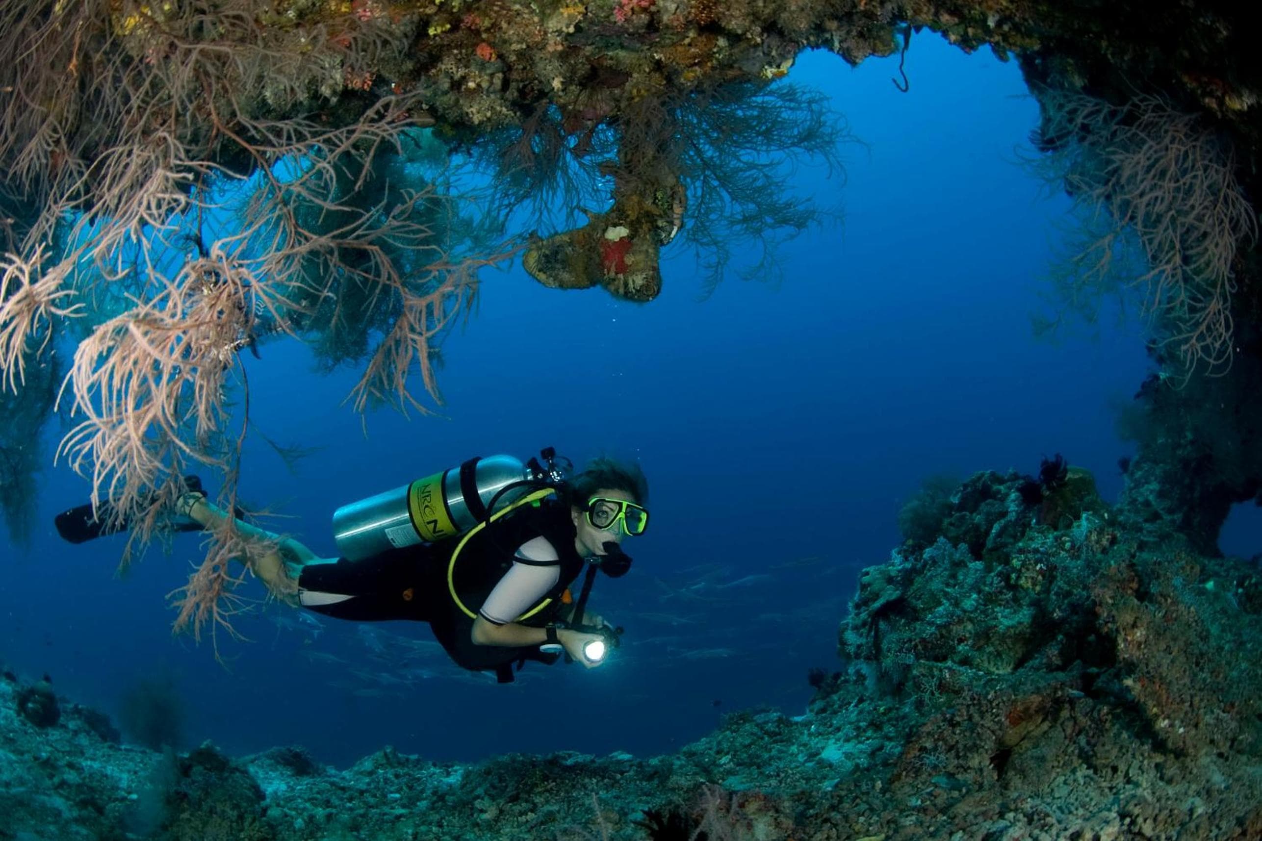 Dusit Thani Maldives - 50 percent discount on transfers for stays until 20 Dec 2025 - View 86