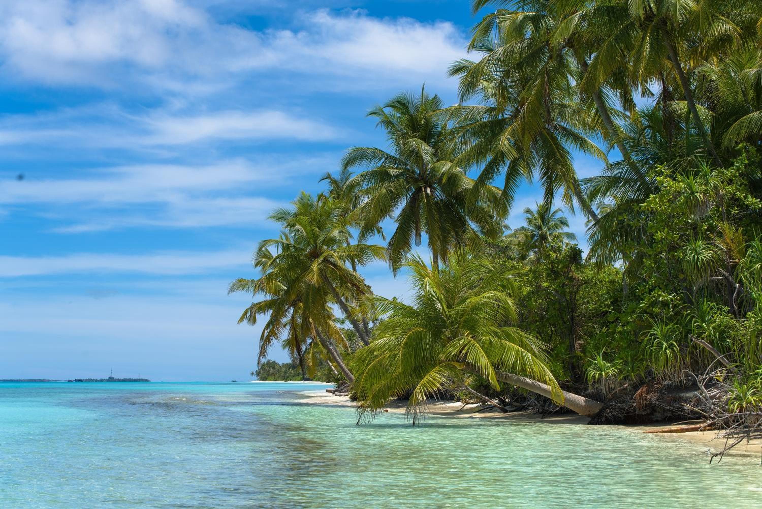 Dhiguveli Maldives - View 55