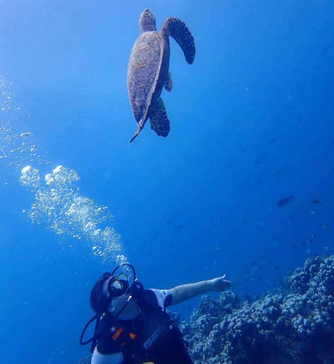 Adaaran Select Huduran Fushi - Free Dine around Premium All Inclusive 24 hours - 30 mins by Speedboat - View 111