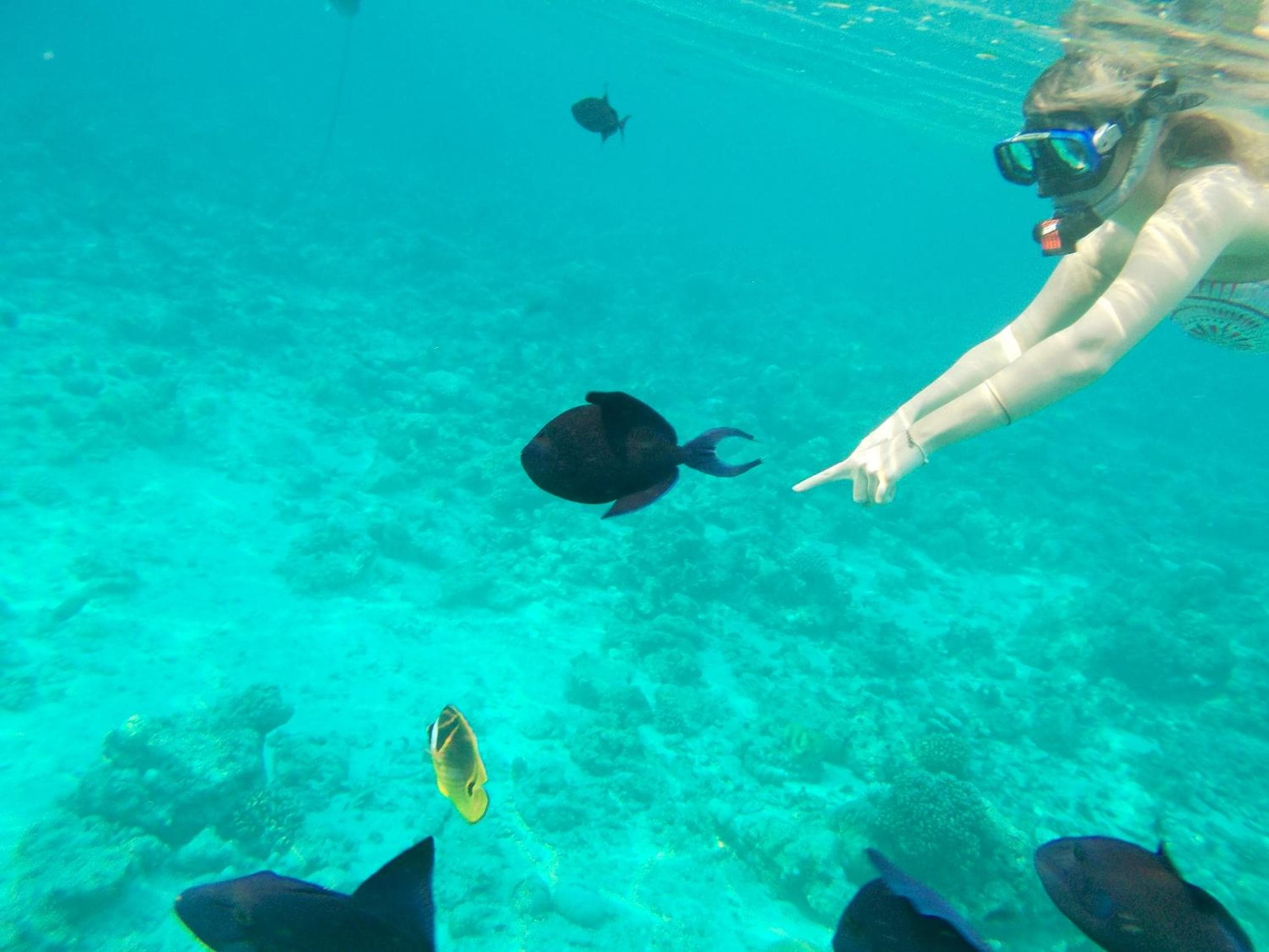 Nala Veli Villa - View 26