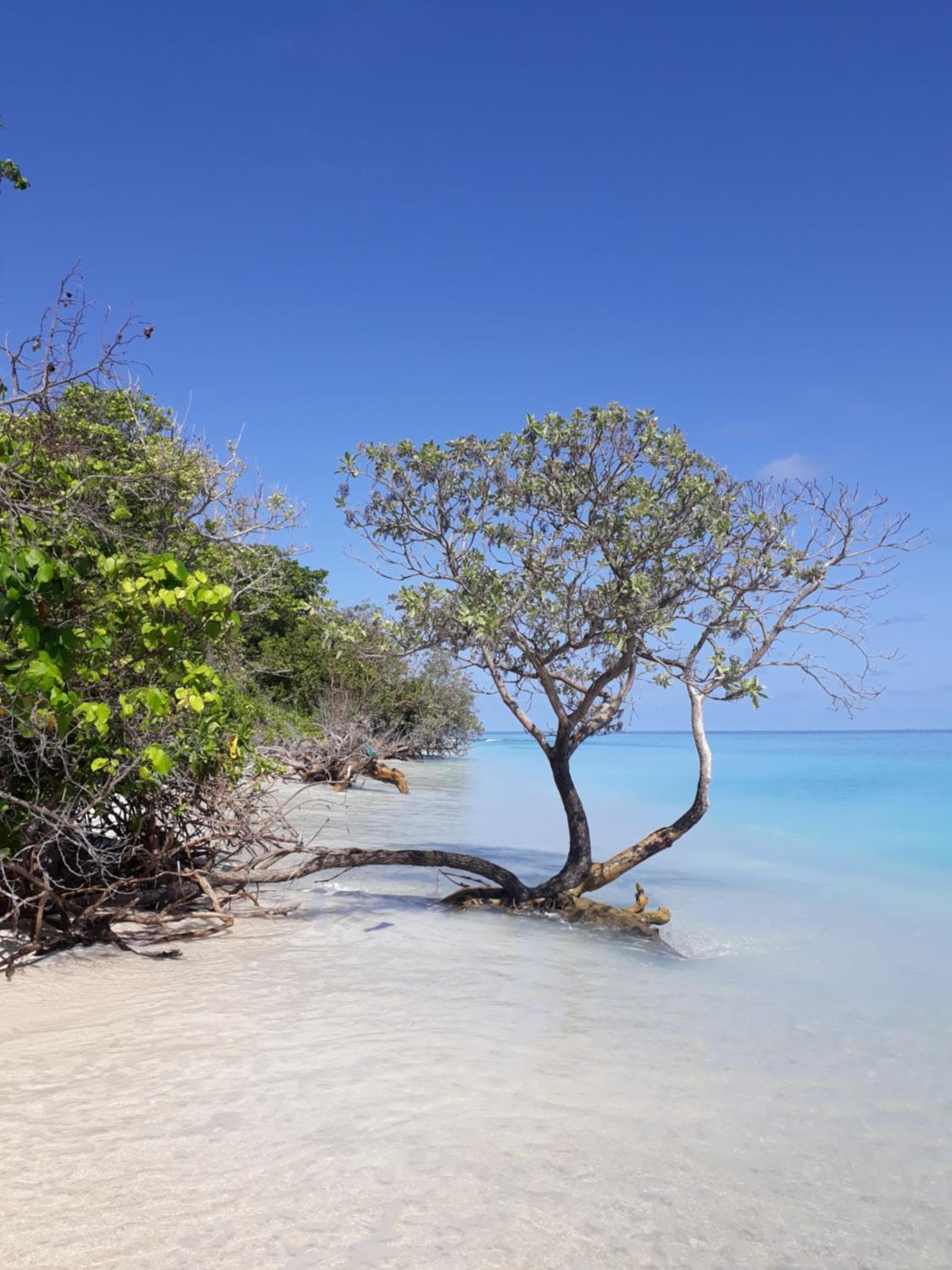 Sunrise Inn - View 44