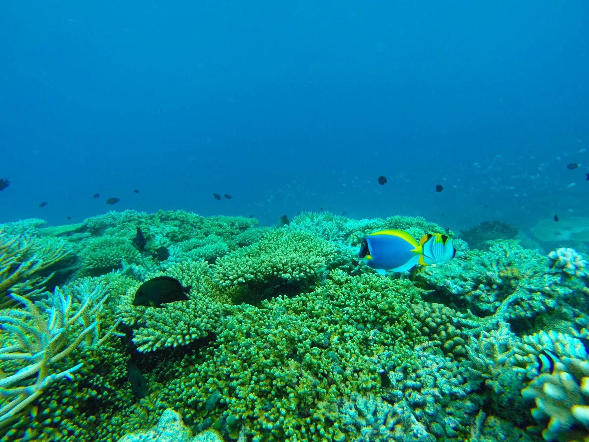 Mariana Maldives - View 76