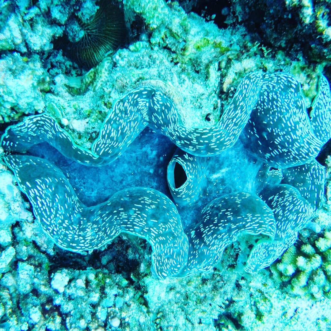 Mariana Maldives - View 62
