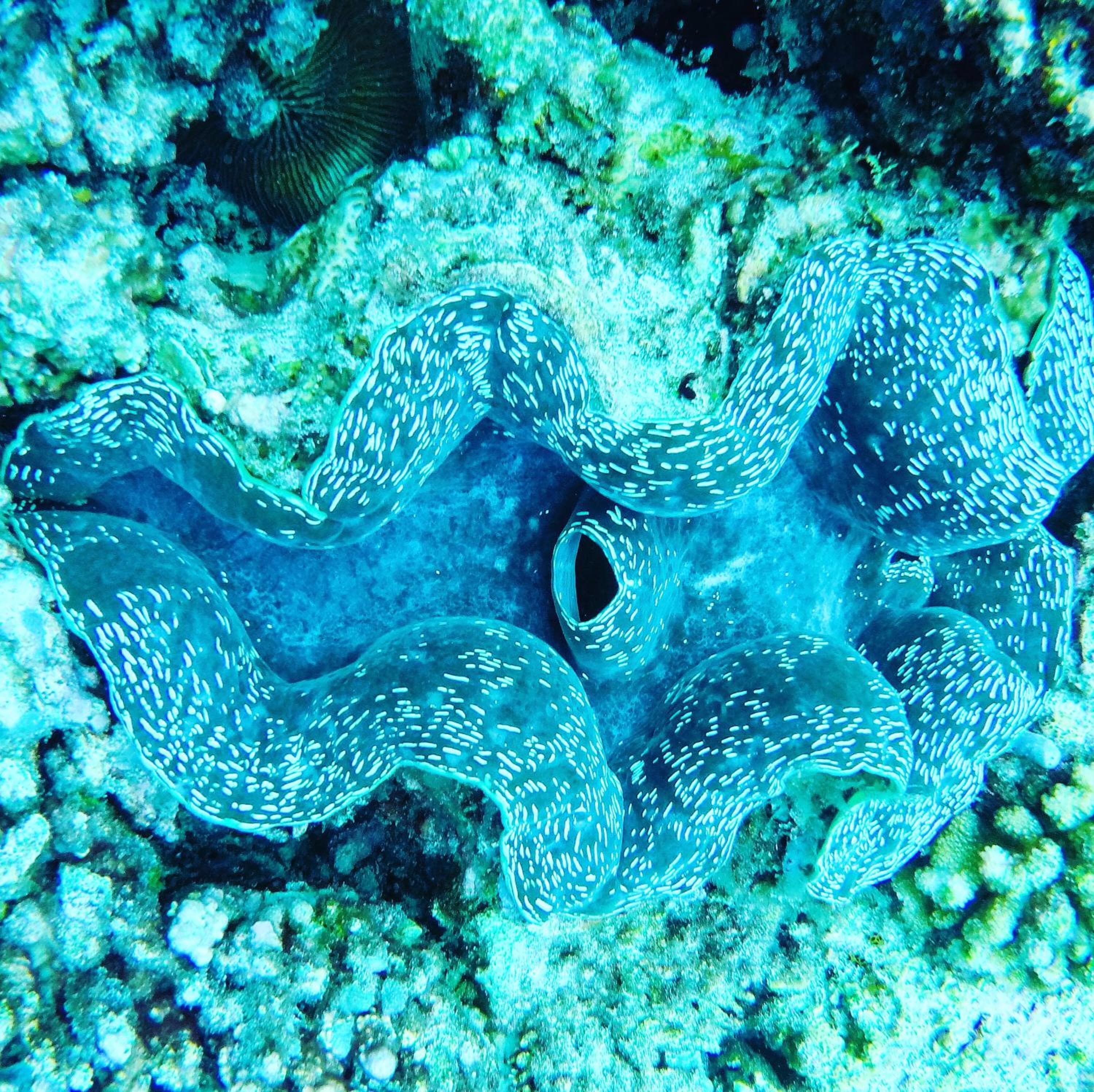 Mariana Maldives - View 74