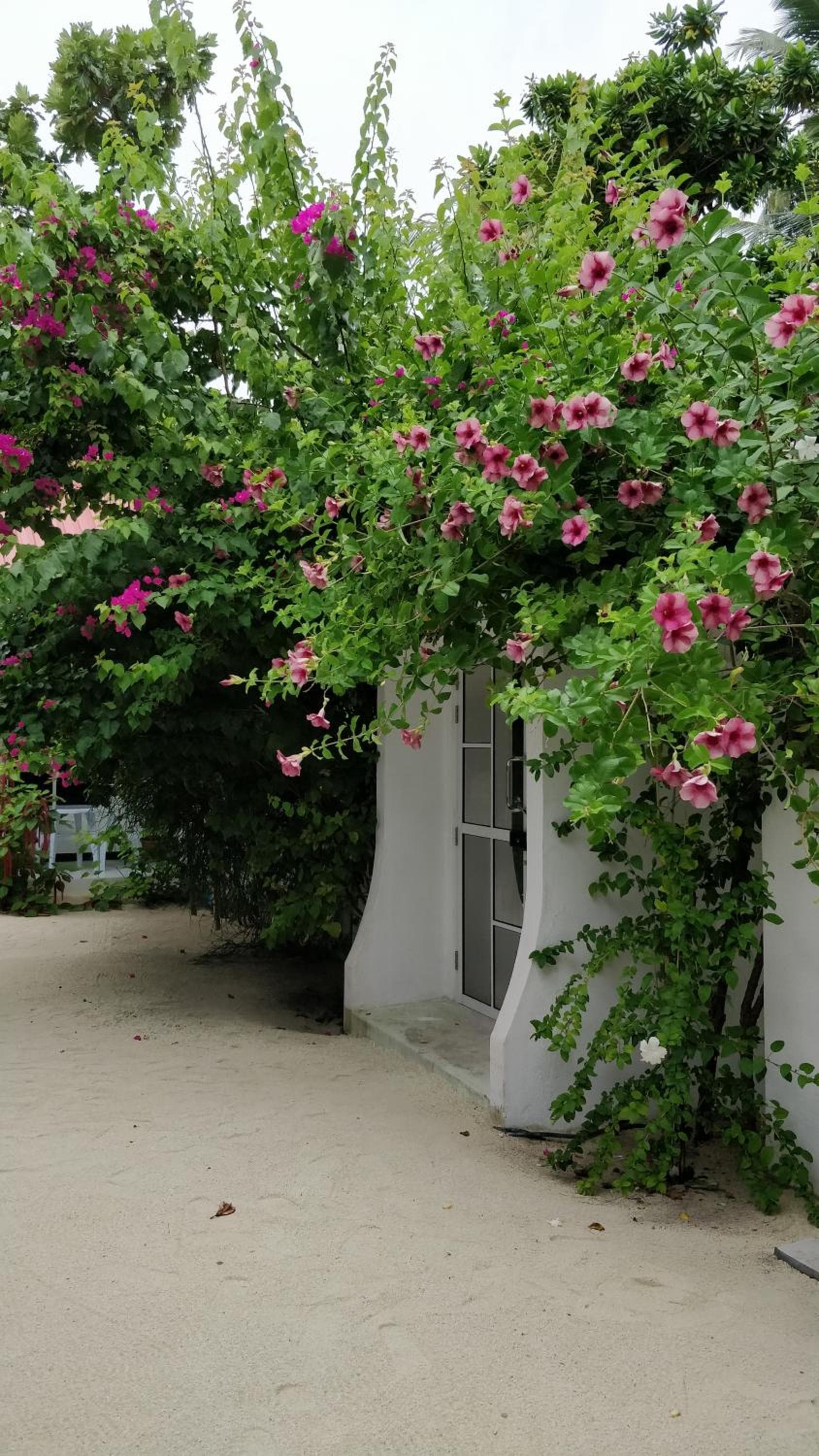 Athiriveli - View 37