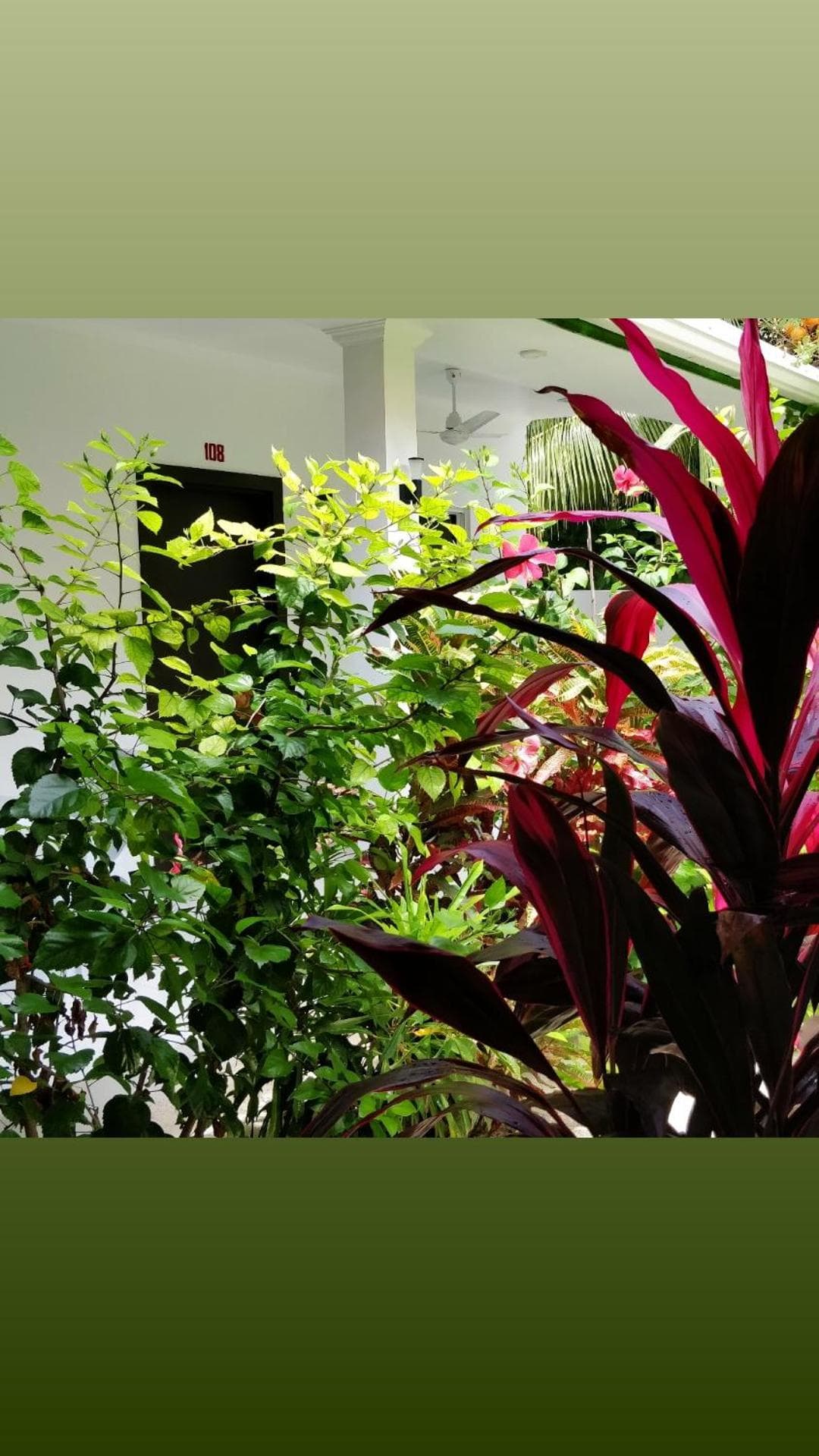 Athiriveli - View 38