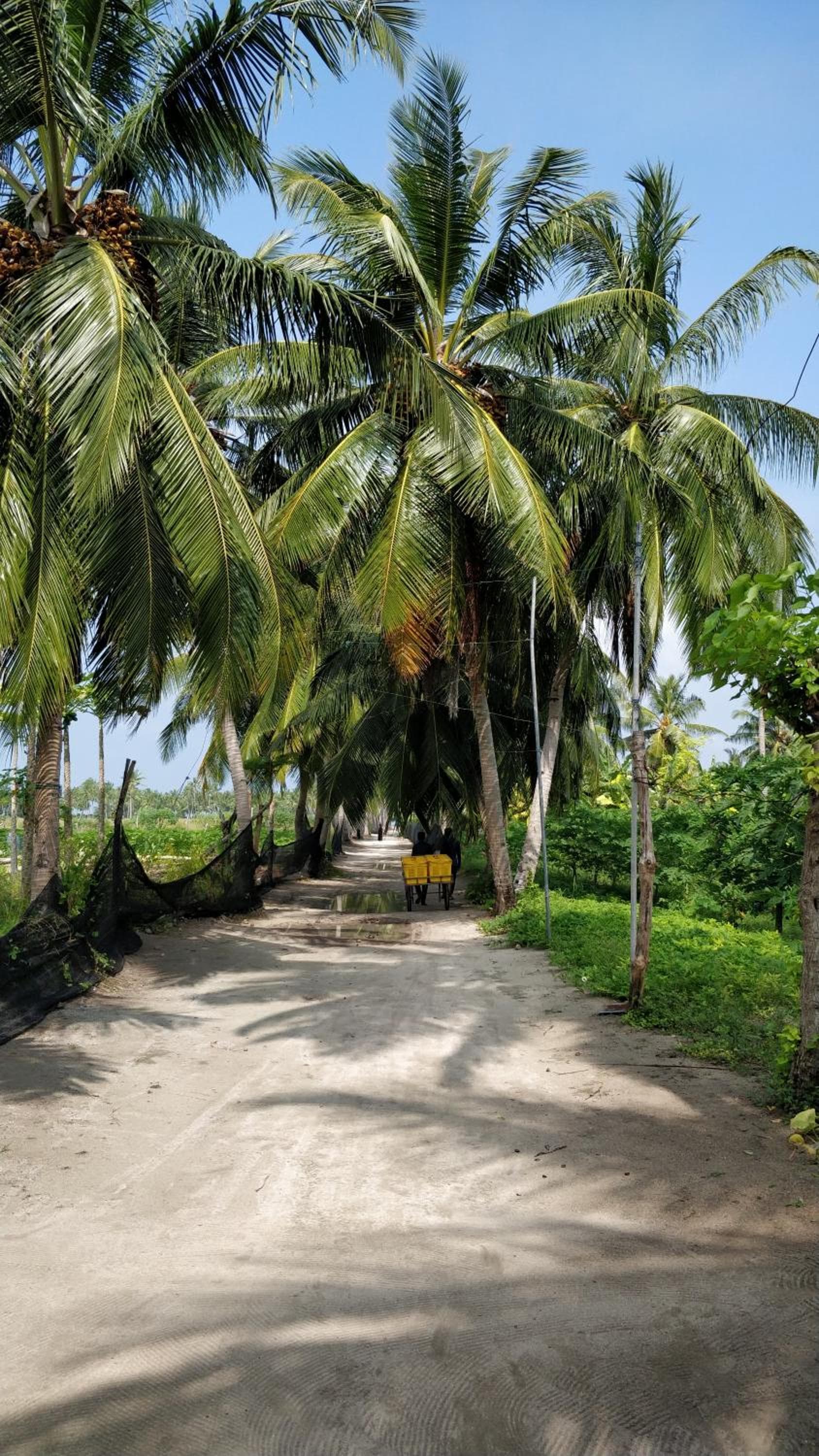 Athiriveli - View 27