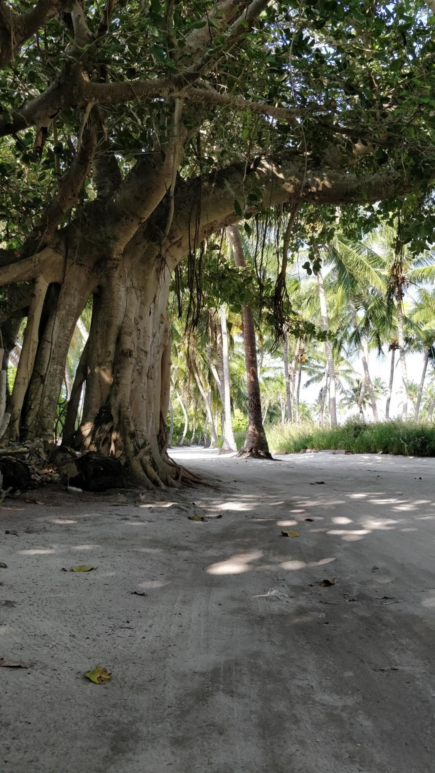 Athiriveli - View 40