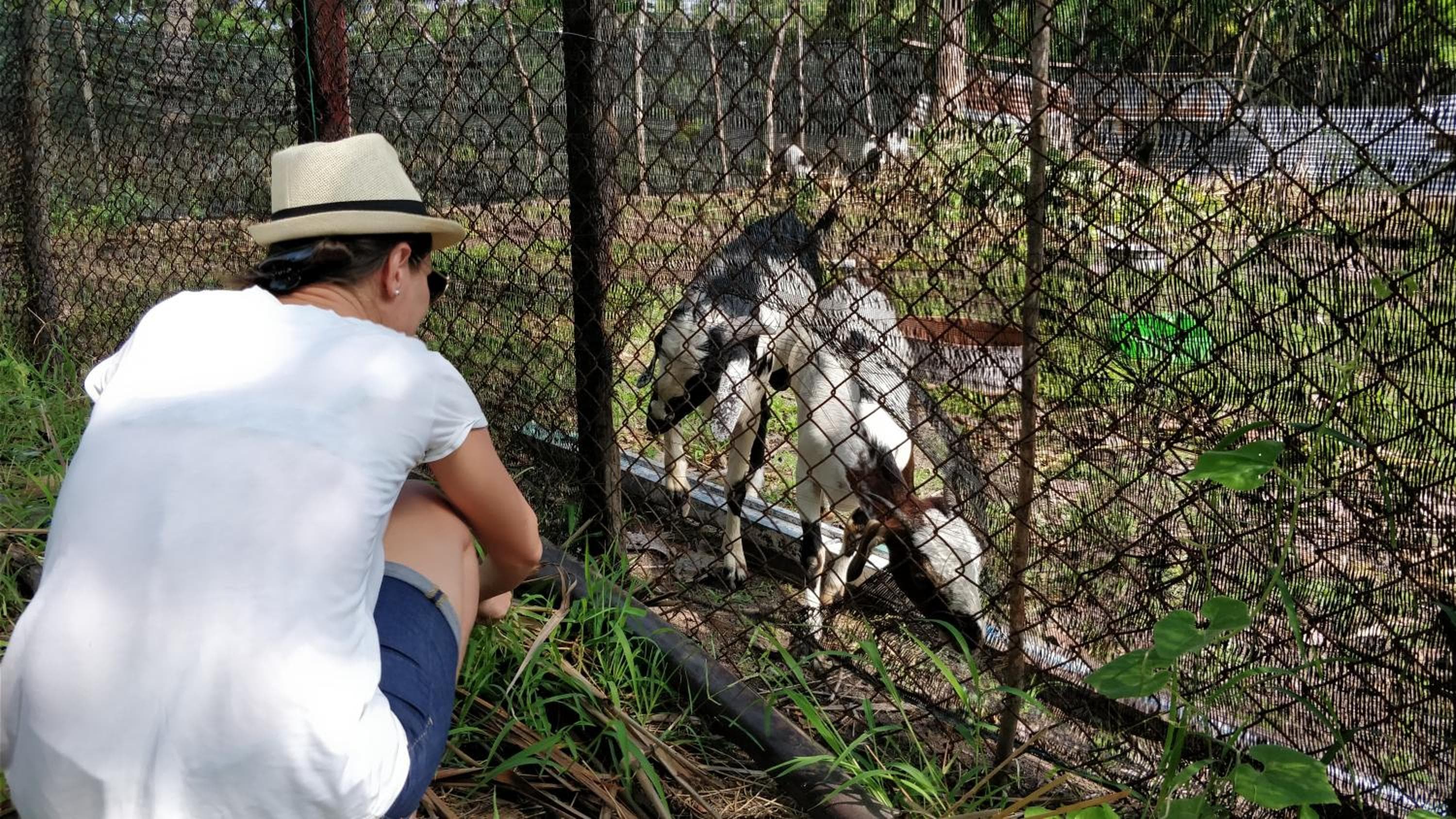 Athiriveli - View 36