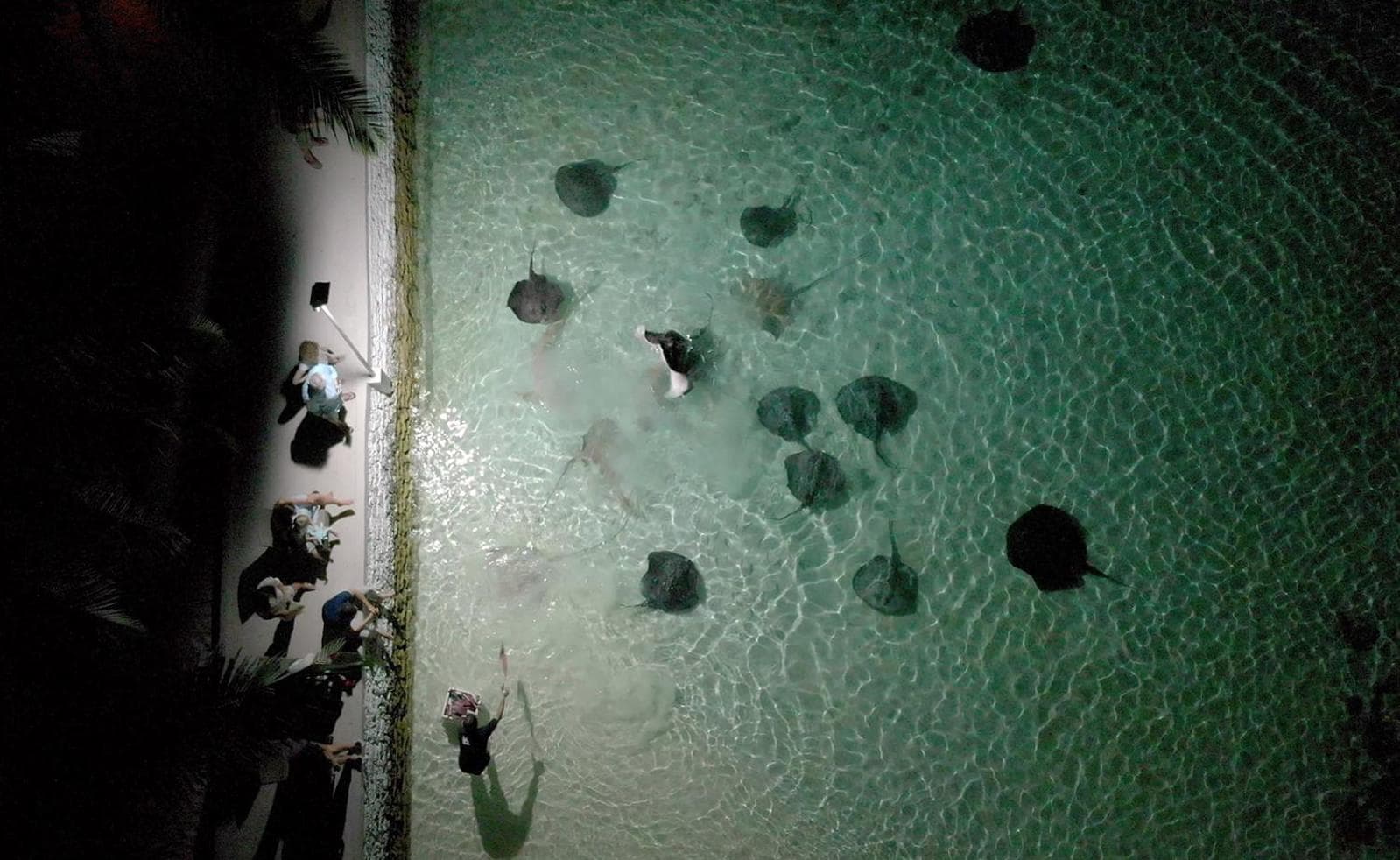 Nika Island Resort & Spa, Maldives - View 16