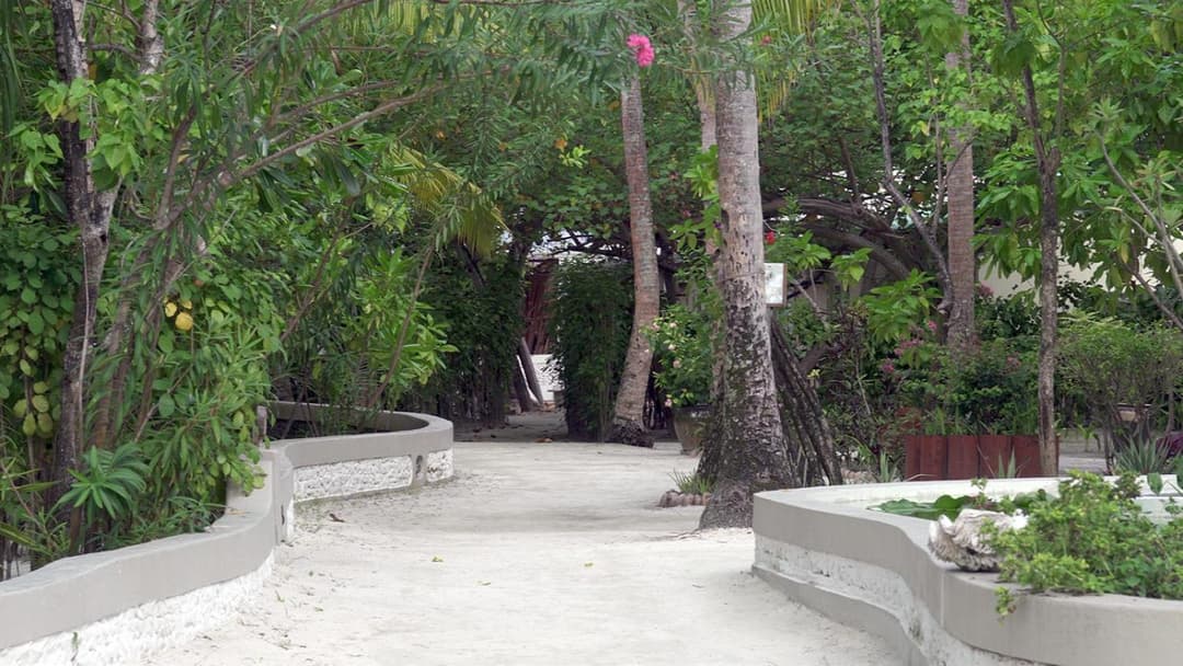 Nika Island Resort & Spa, Maldives - View 5
