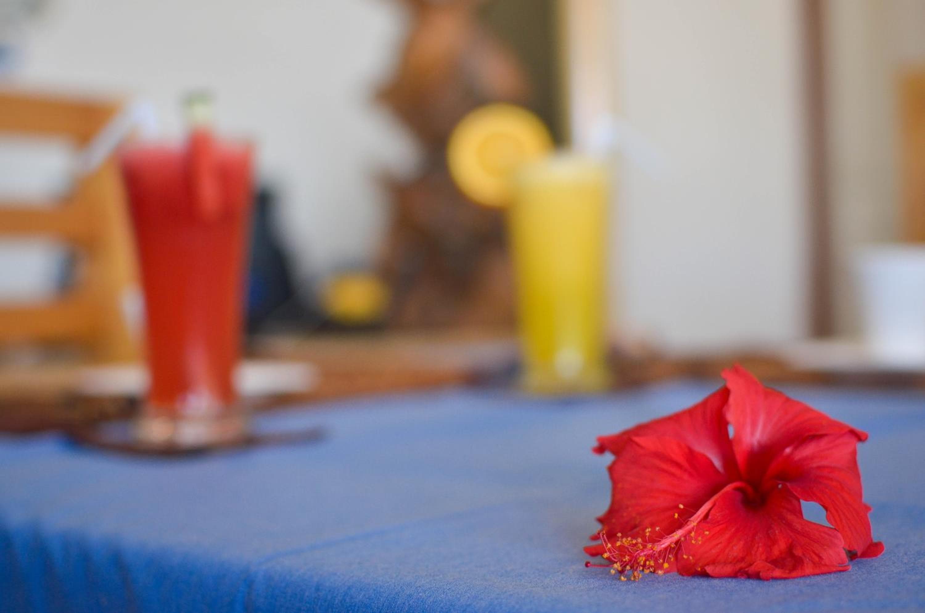 Equatorial Divers Lodge - View 11