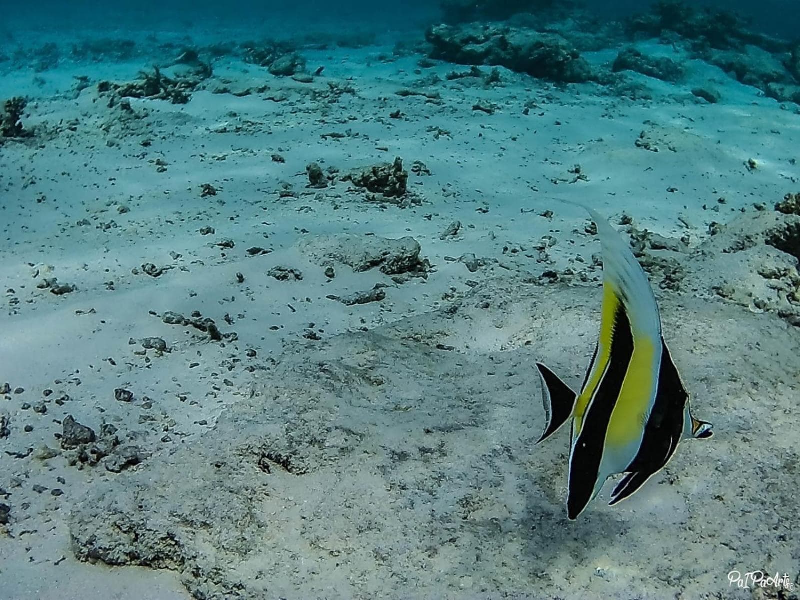 Veli Beach Inn - View 70