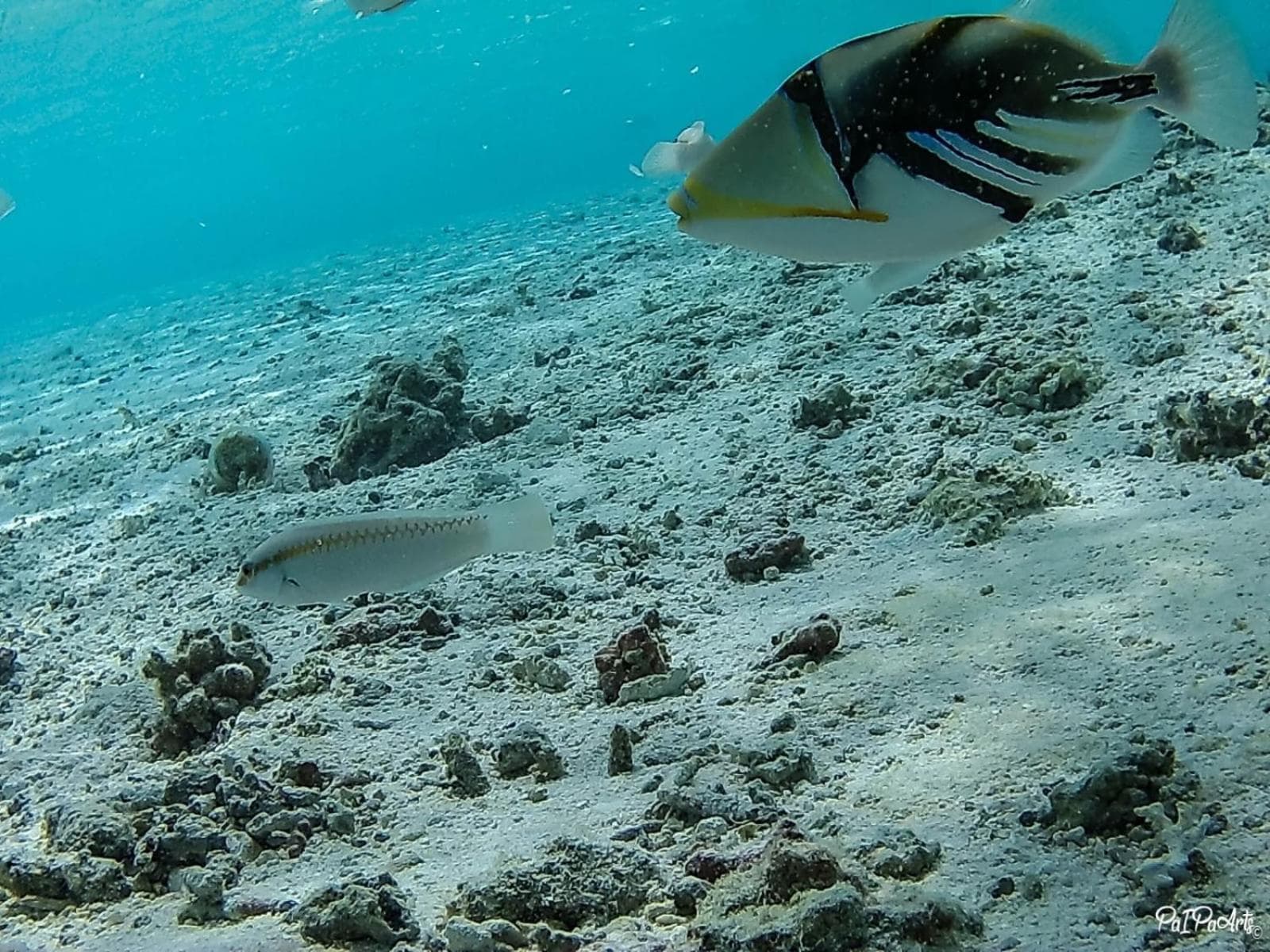 Veli Beach Inn - View 69