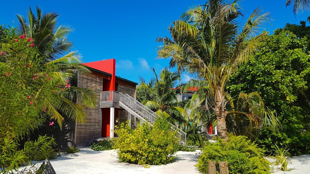 The Barefoot Eco Hotel - View 101