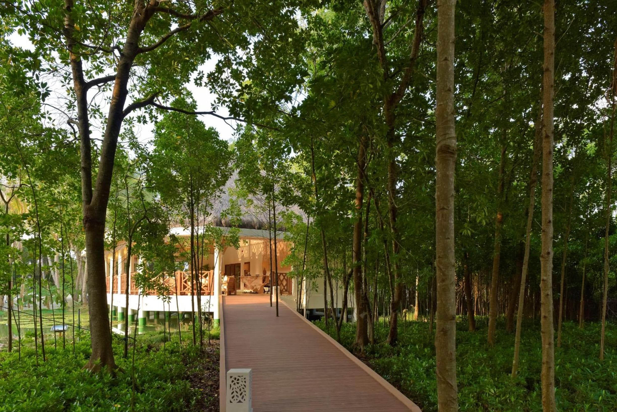 Dreamland Maldives Resort - View 48