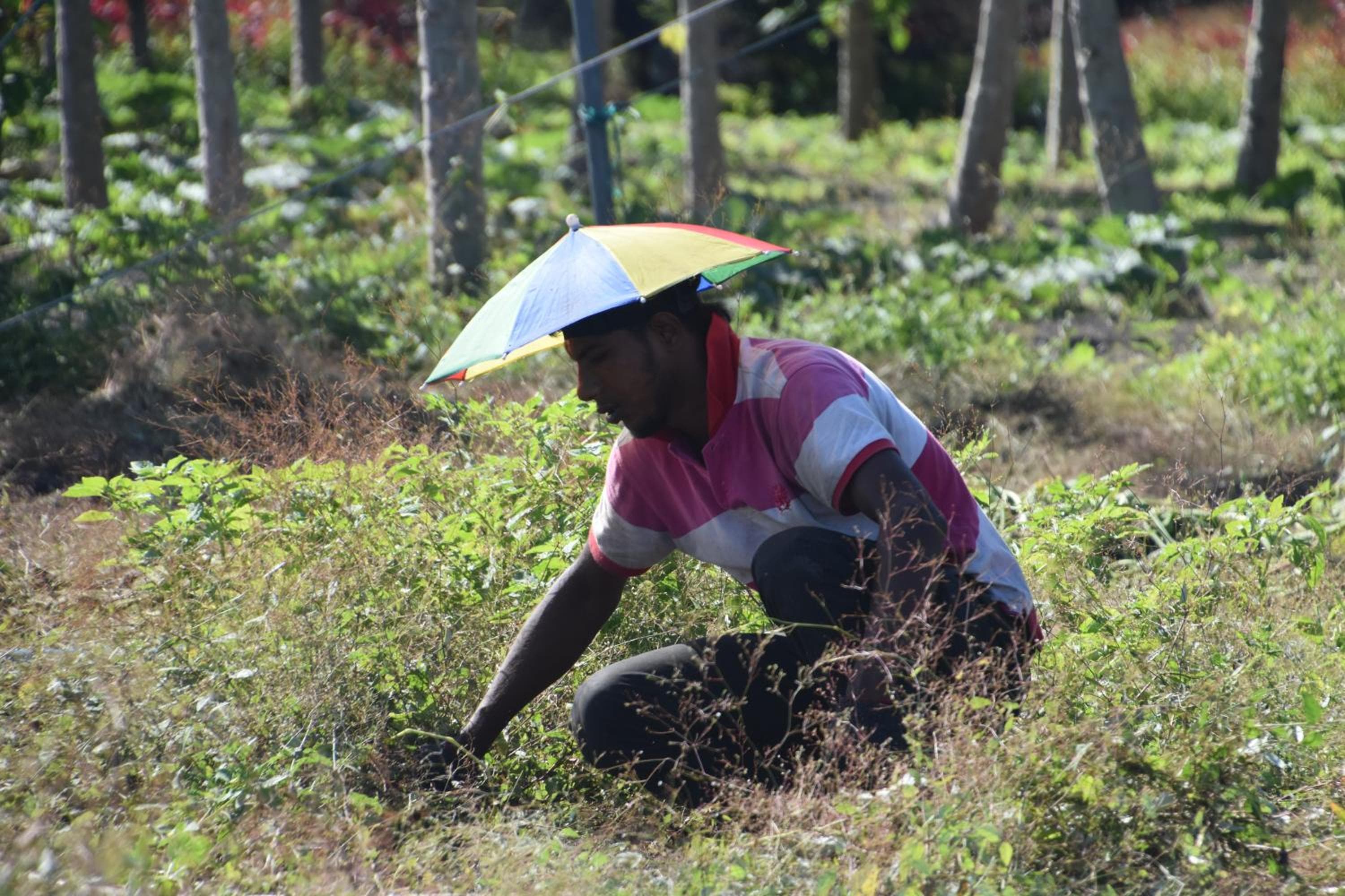 Lagoon Villa Maldives - View 81