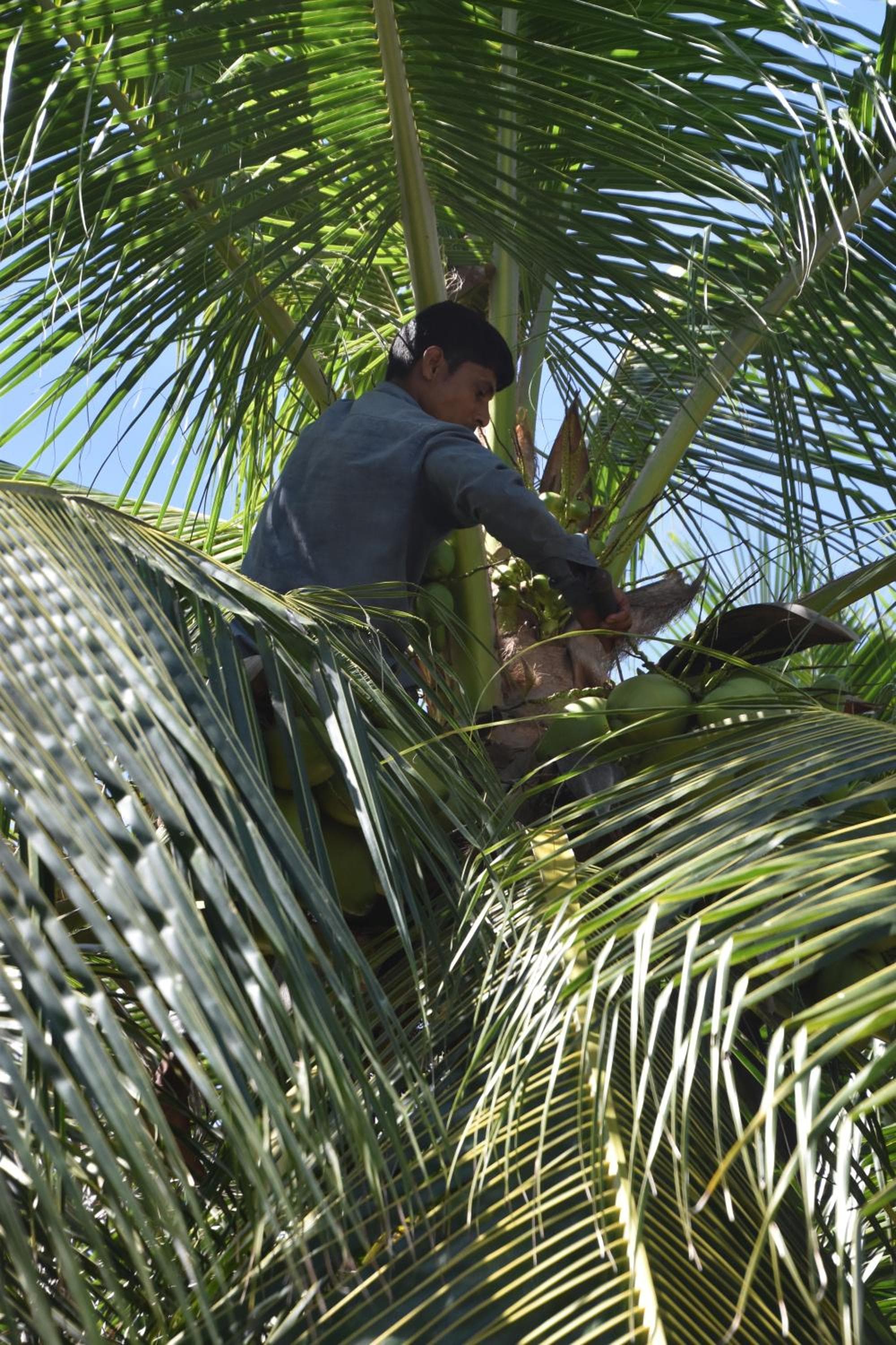 Lagoon Villa Maldives - View 78