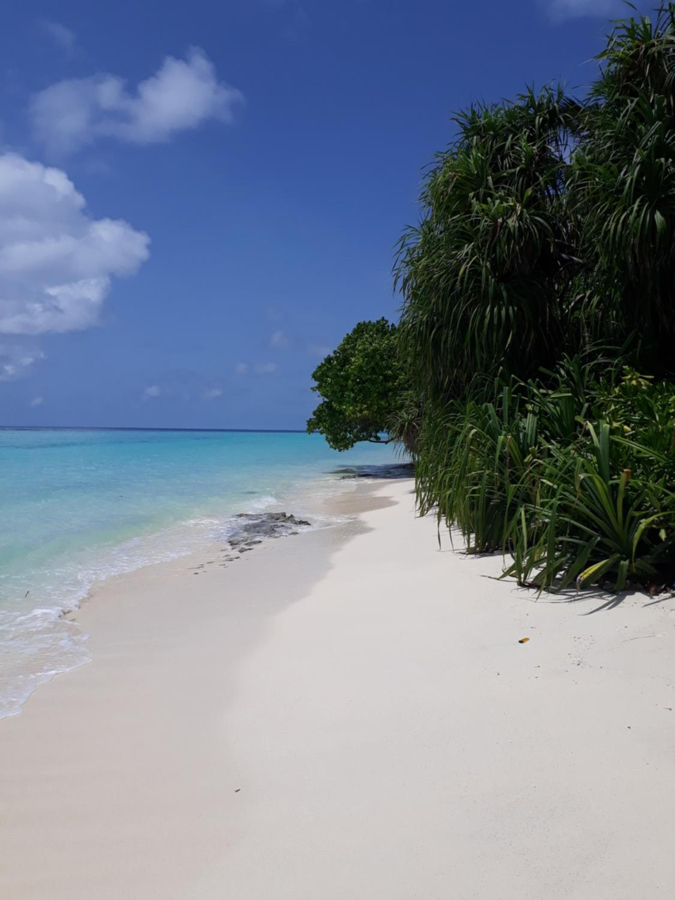 Sunrise Inn - View 34