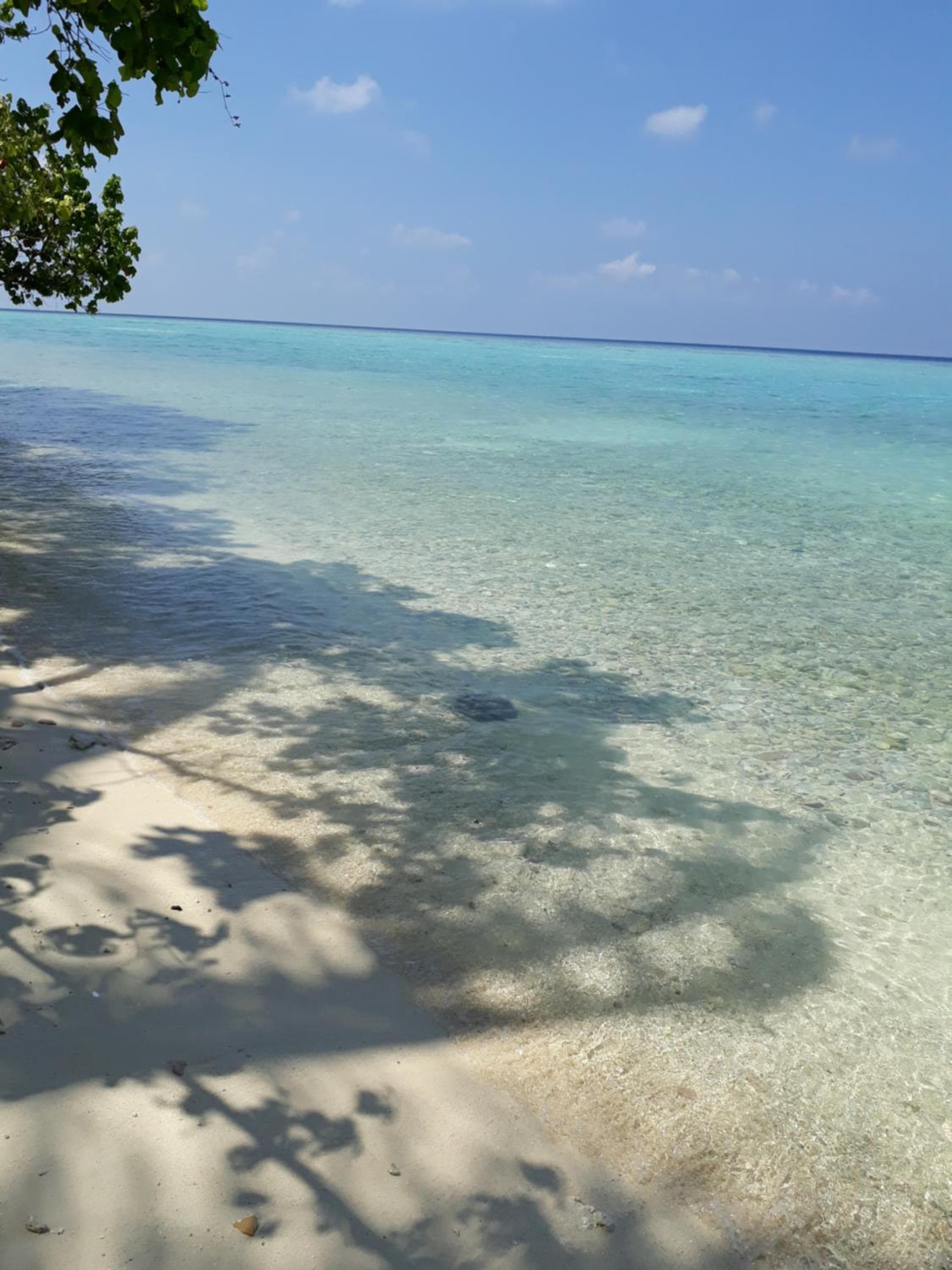 Sunrise Inn - View 28