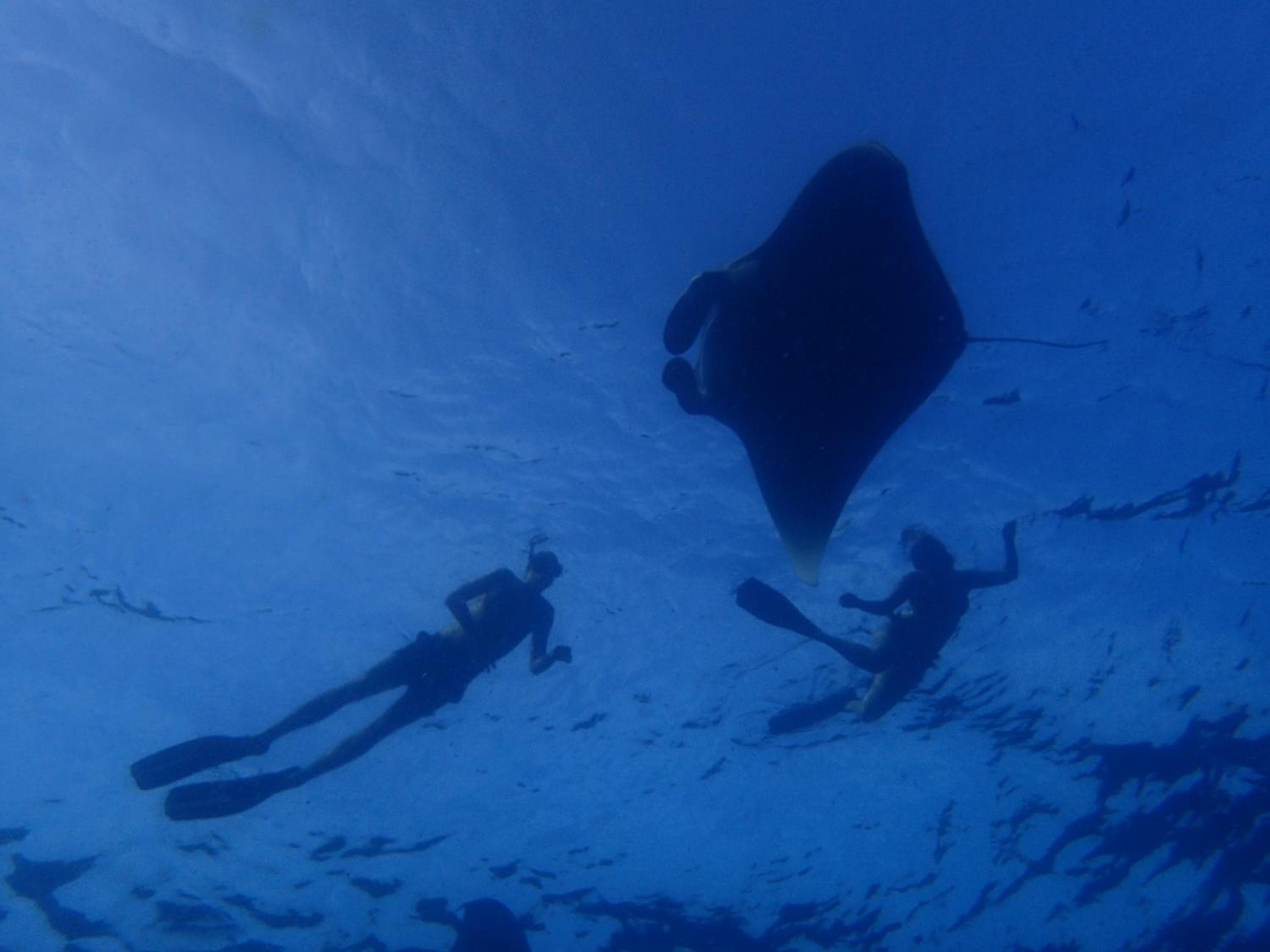 SeaLaVie Inn - View 22