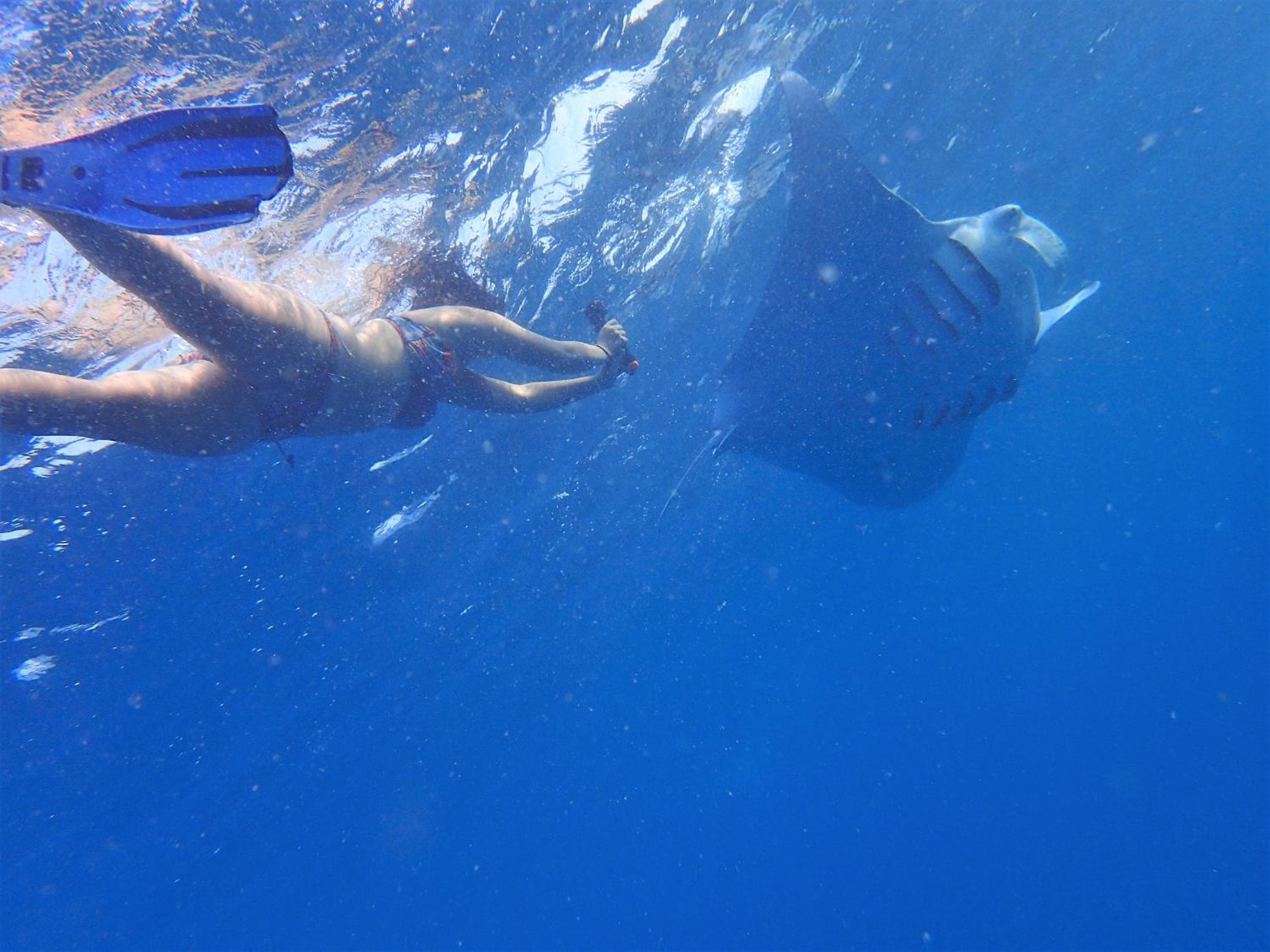 SeaLaVie Inn - View 21