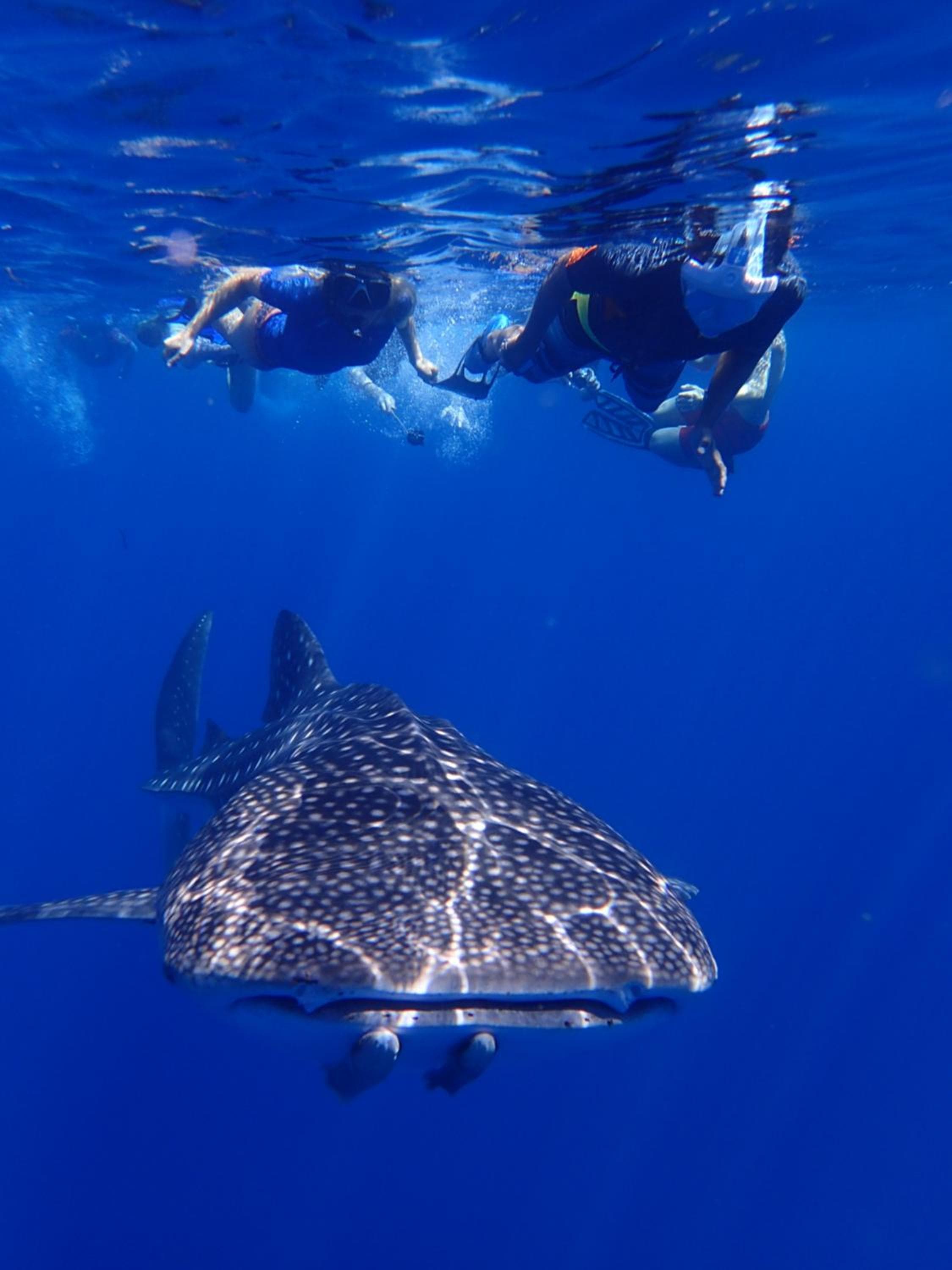 SeaLaVie Inn - View 20