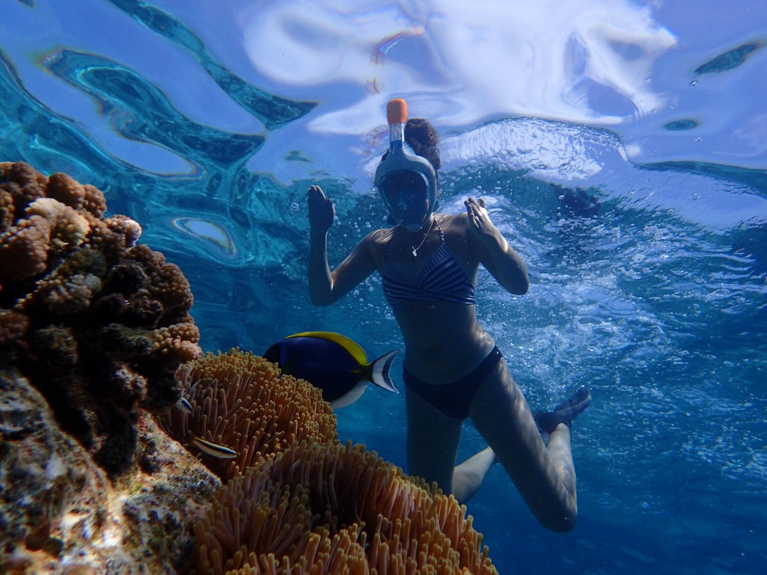 SeaLaVie Inn - View 19