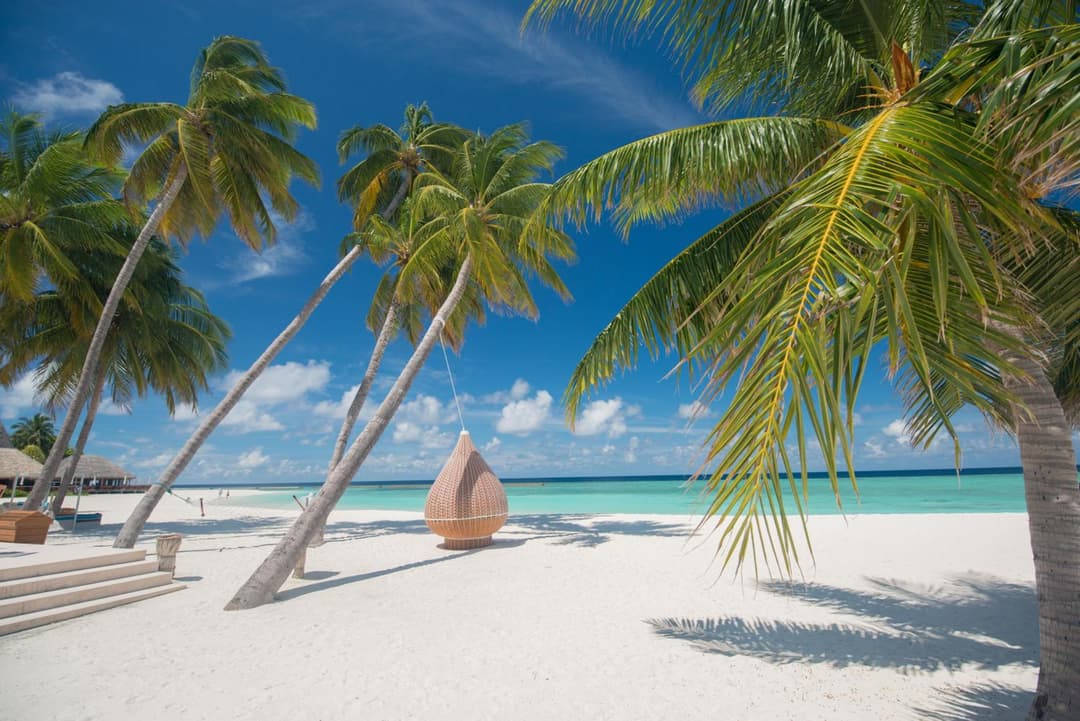 Veligandu Maldives Resort Island - View 47
