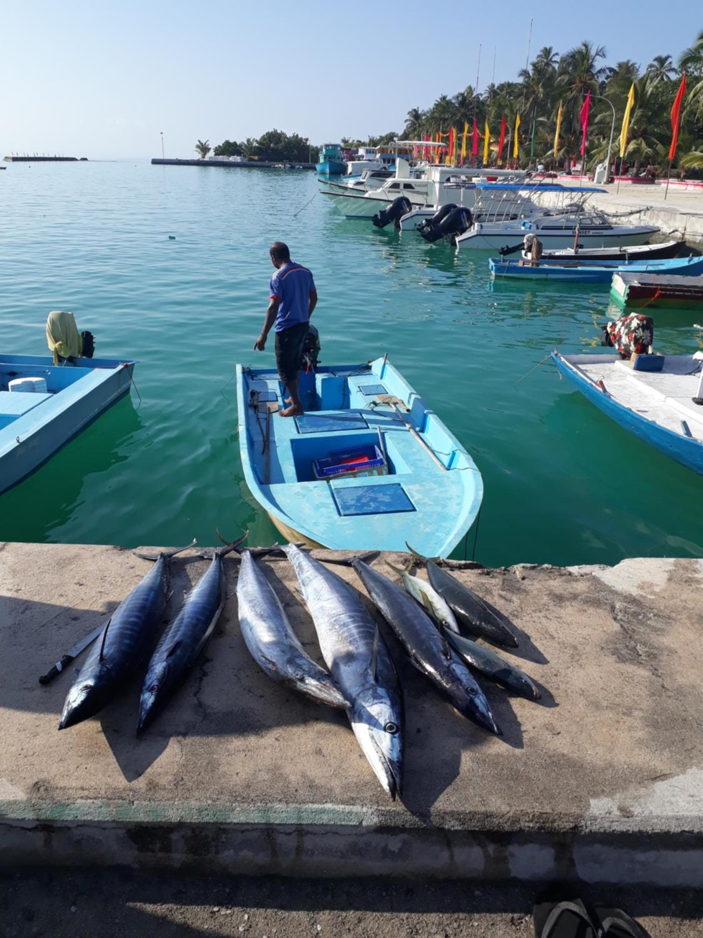 Sunrise Inn - View 39